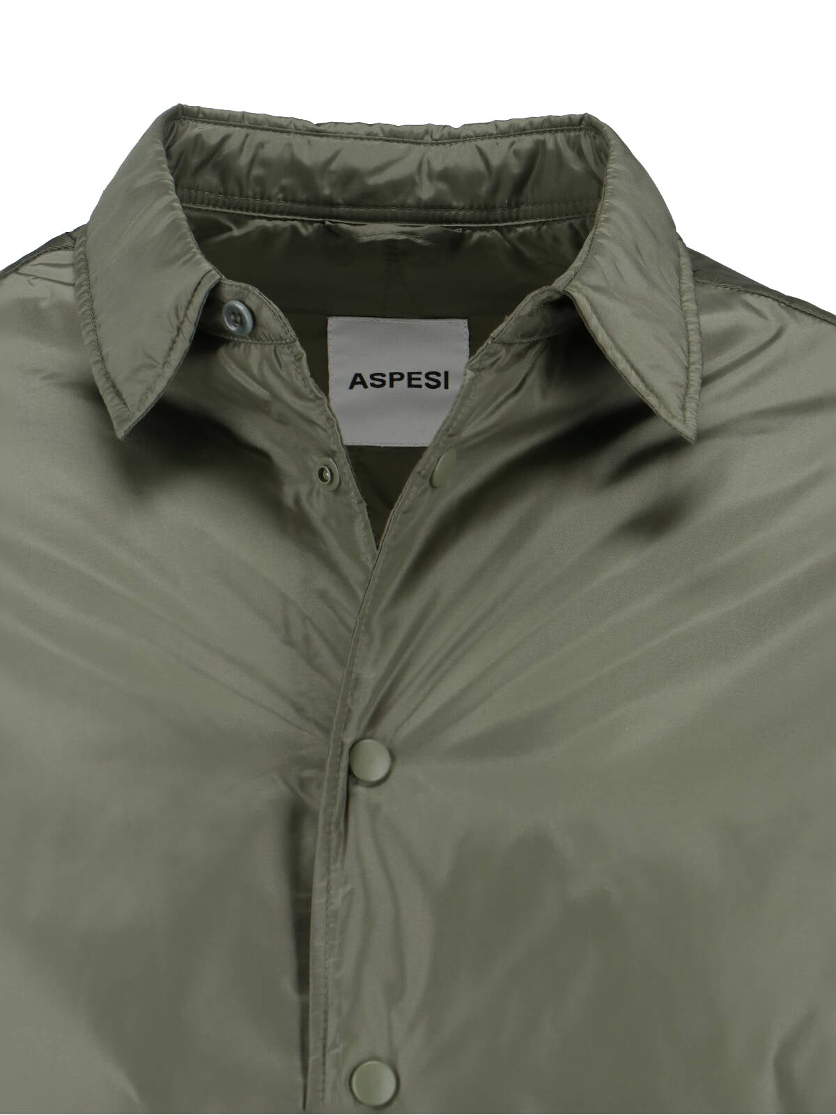 Classic Green Button-Down Shirt with Appeal