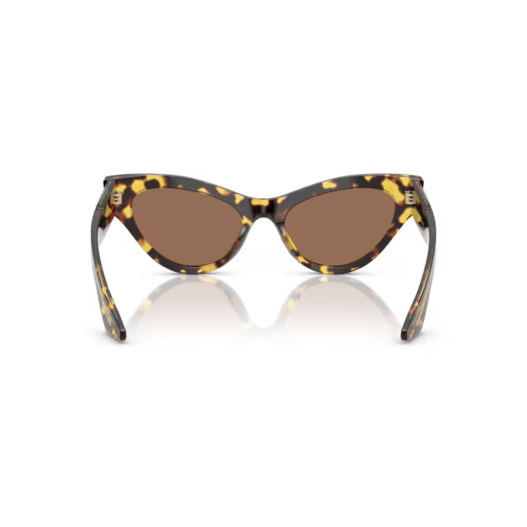 0ov5573su Cat-Eye Sunglasses in Glossy Tortoiseshell Acetate
