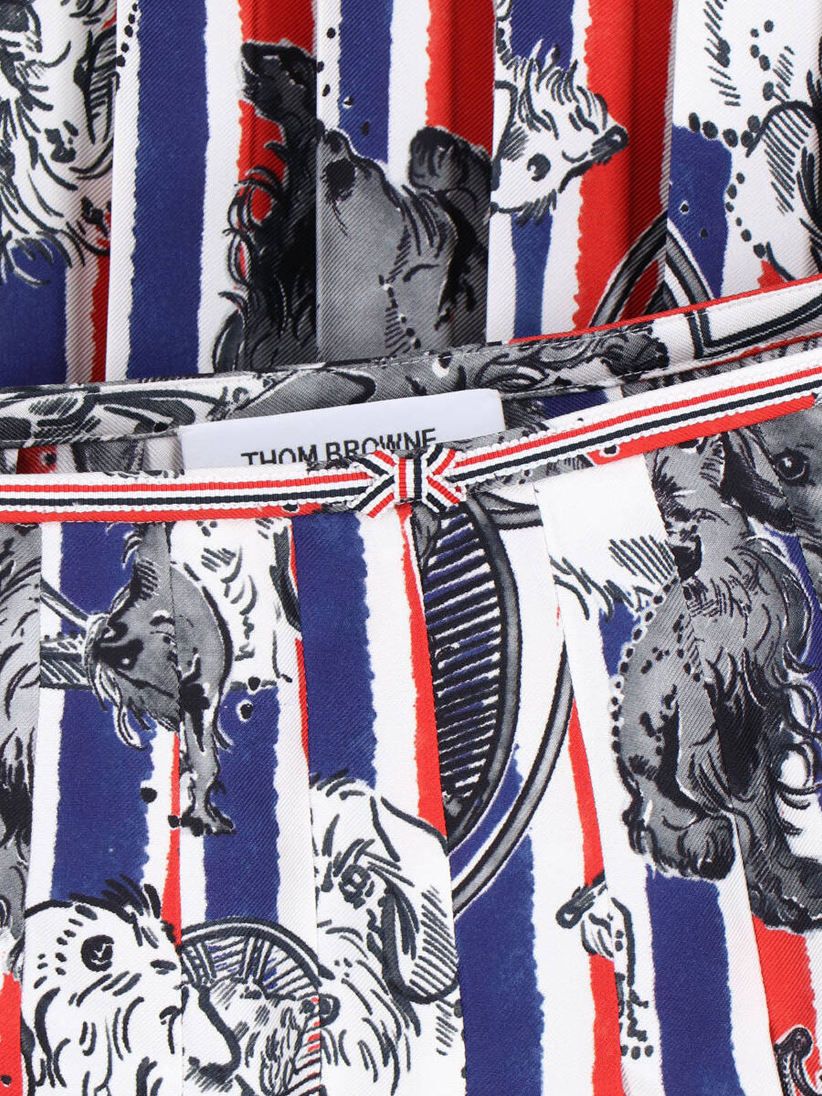 Multicolor Hector Dog Pleated Silk Skirt