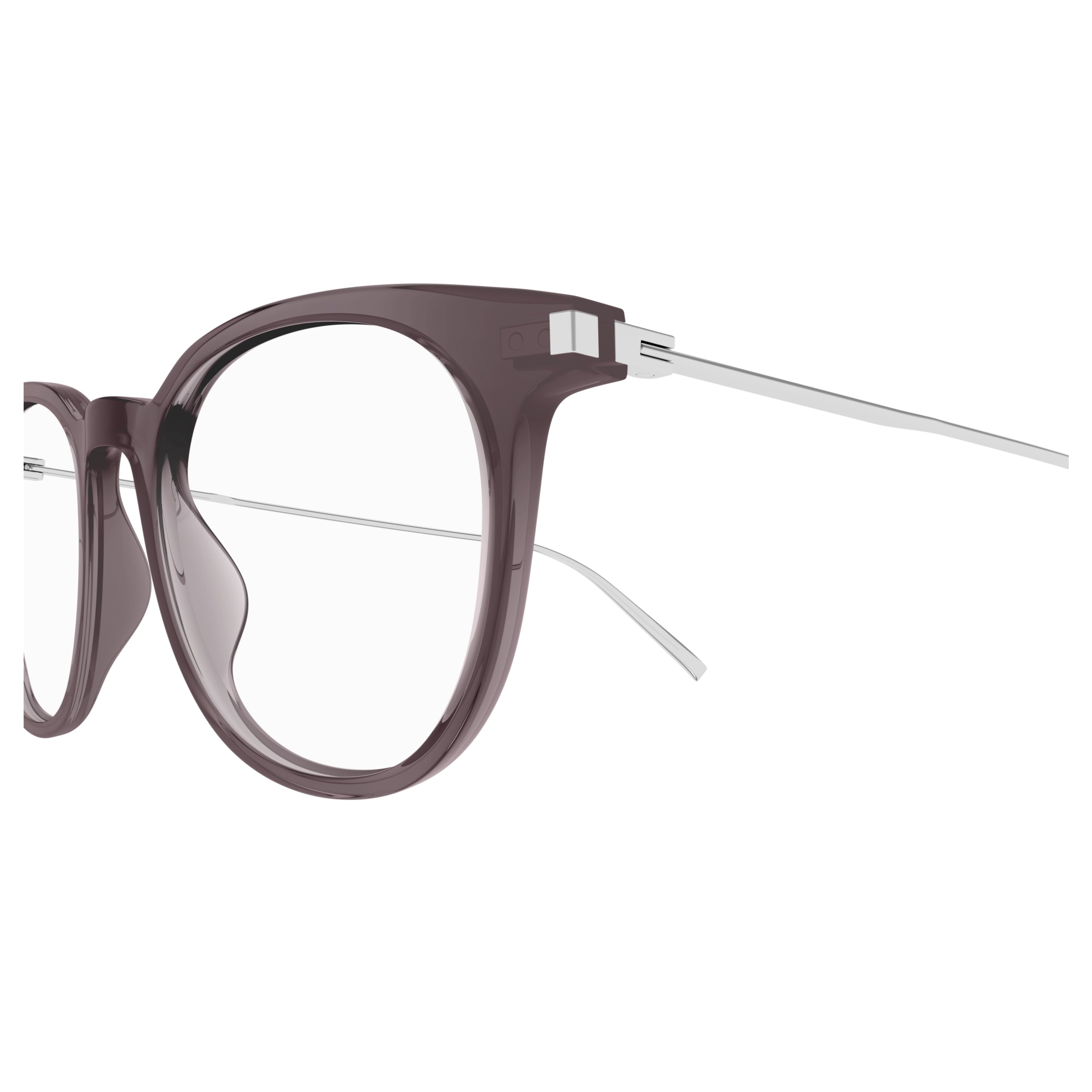 Sl 579 Rounded Frame Eyeglasses