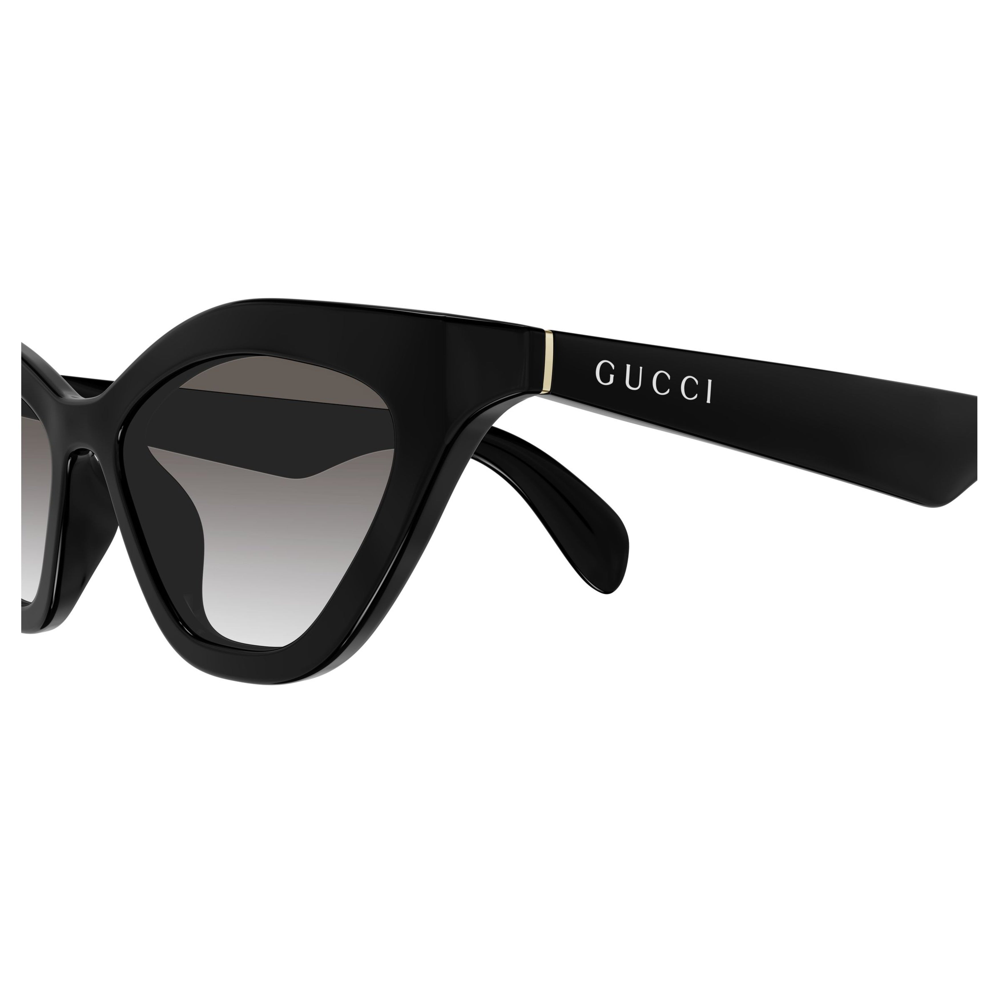 Gg1931s Bold Glossy Black Cat-Eye Sunglasses