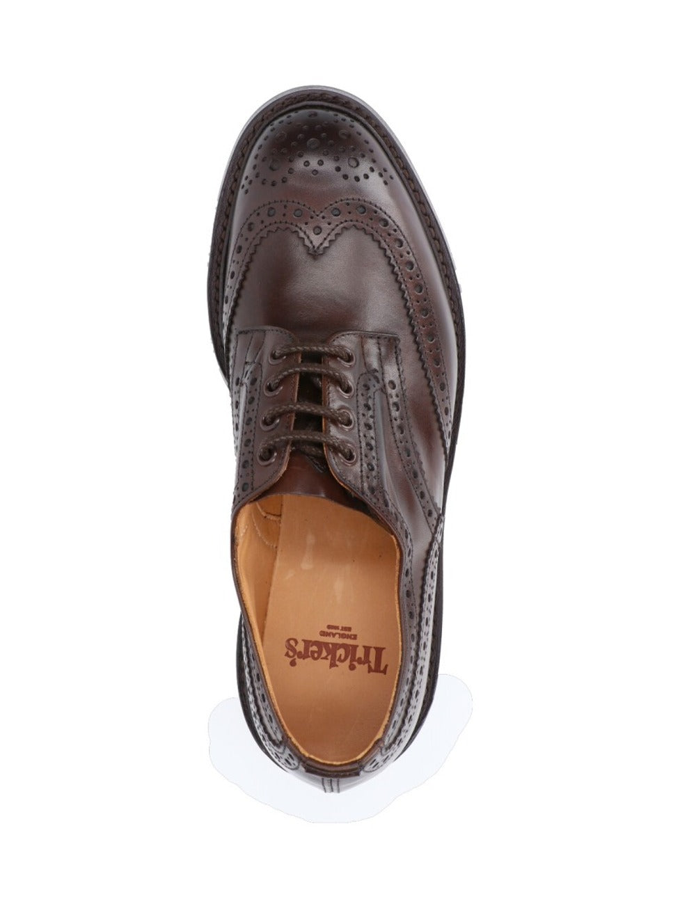 "Bourton" Derby Shoes – Brown