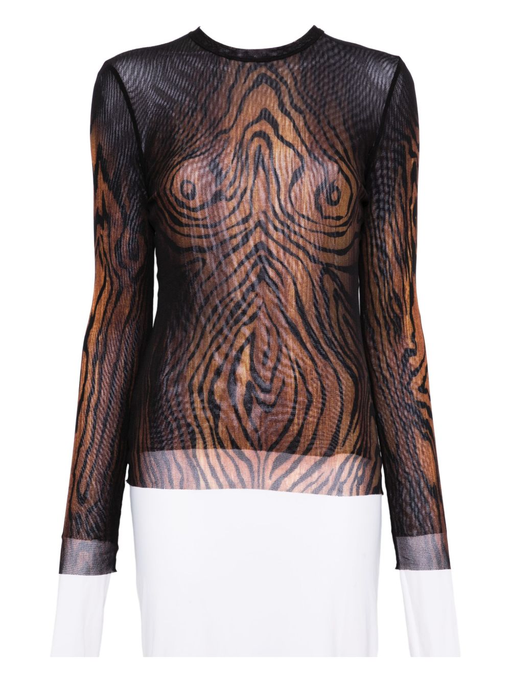 Long-Sleeve Sheer Top