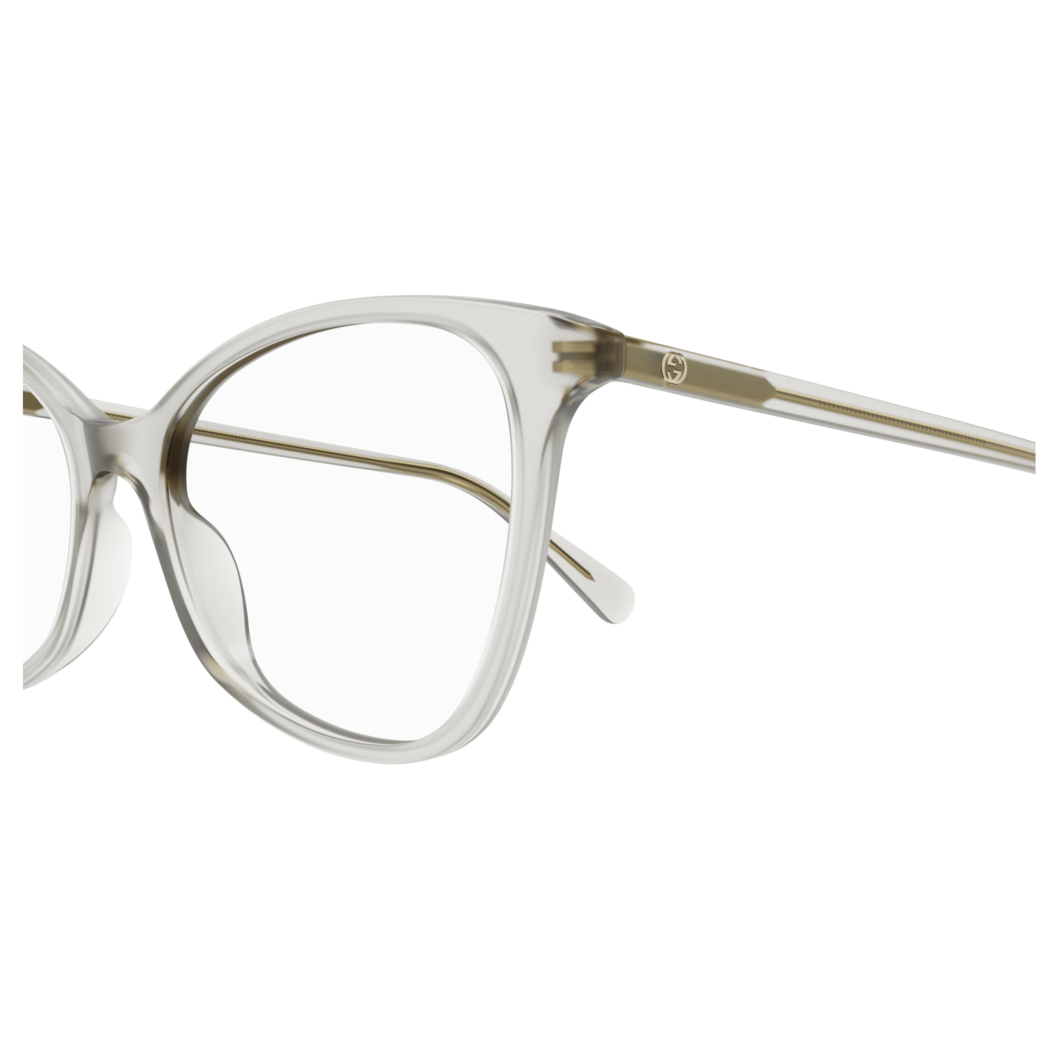 Gg1360o Translucent Gradient Frame Eyeglasses