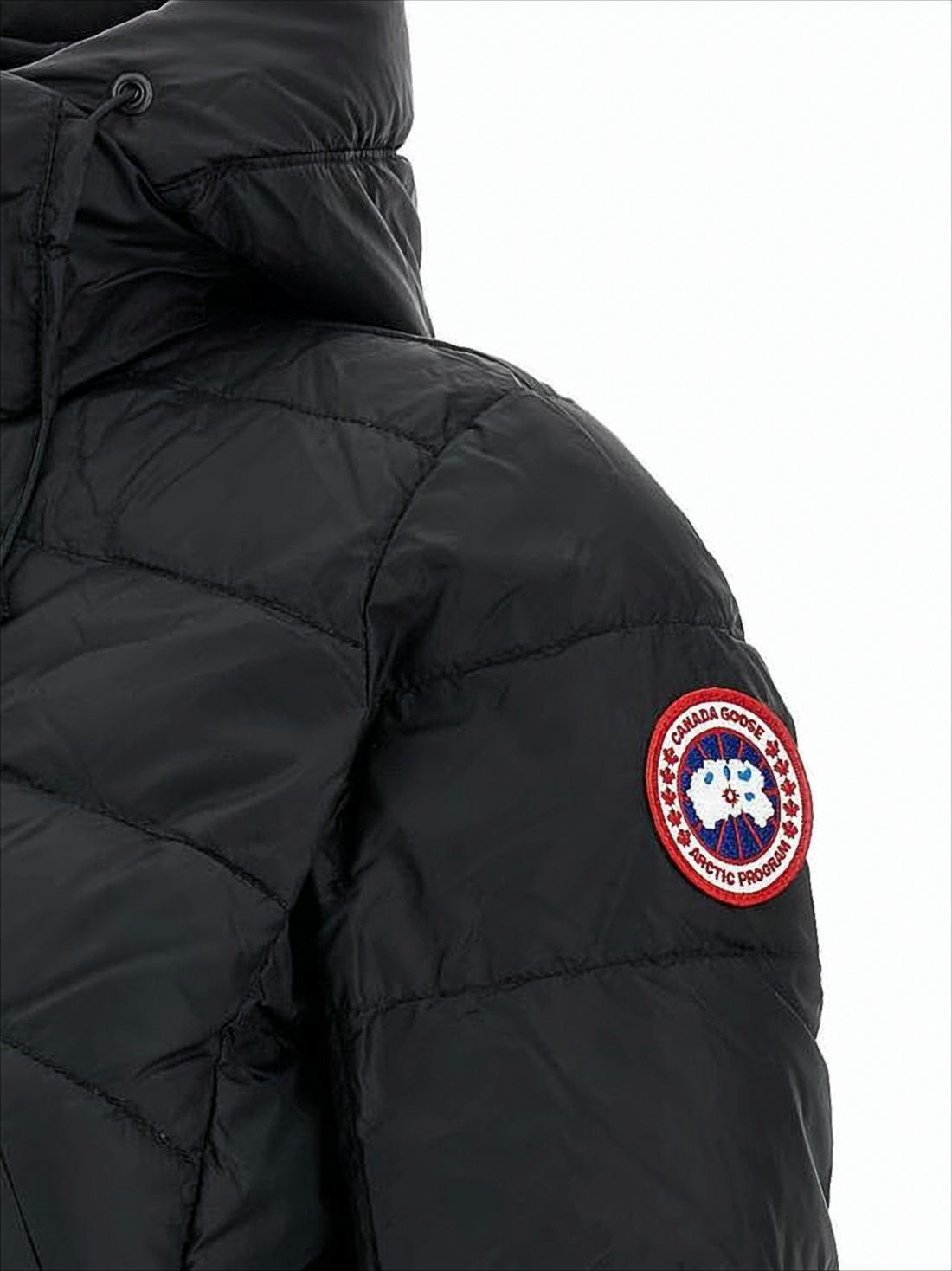 Quilted Padded Down Coat with Adjustable Collar