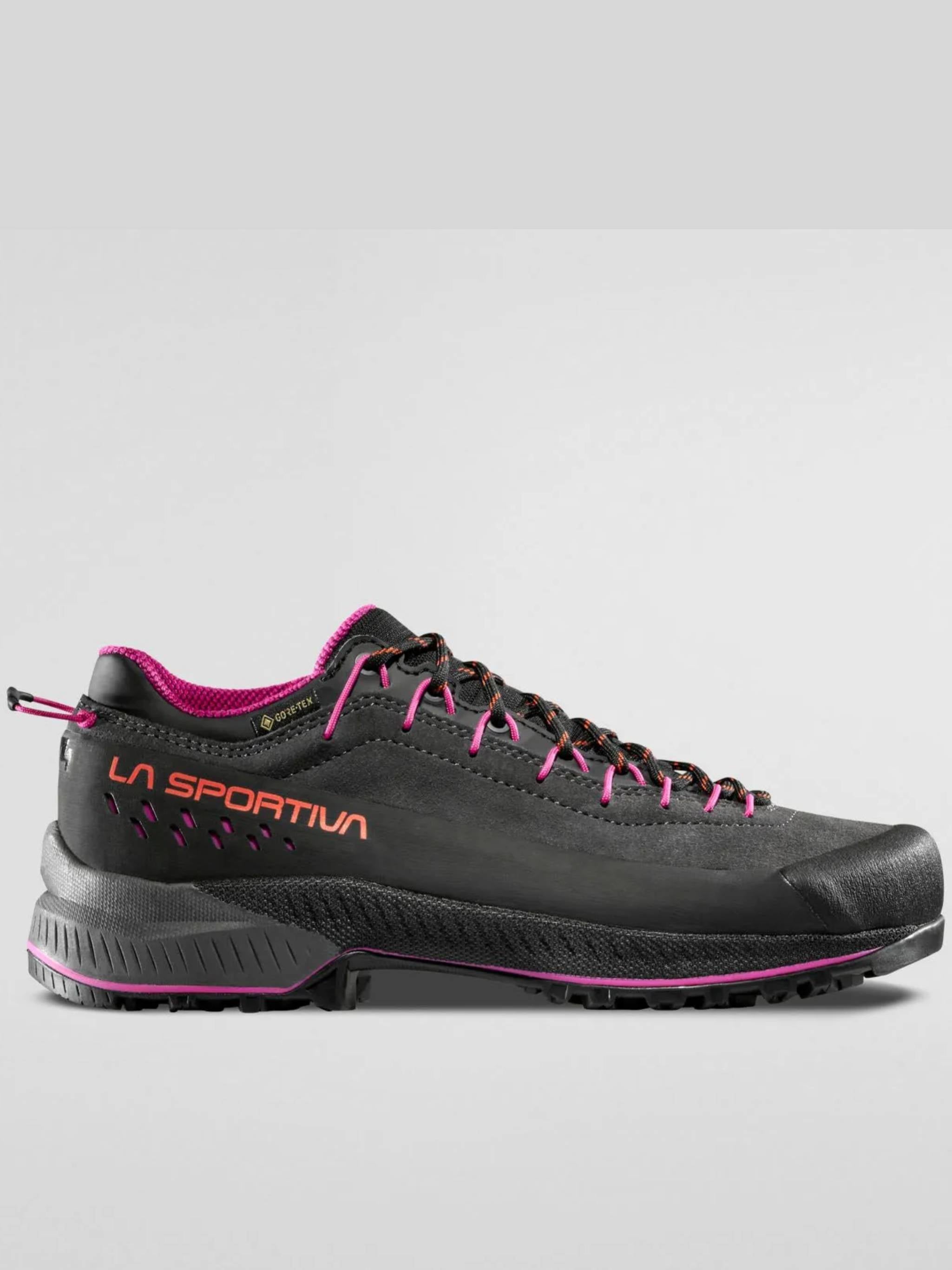 Dark Grey TX4 Evo GTX Outdoor Shoes