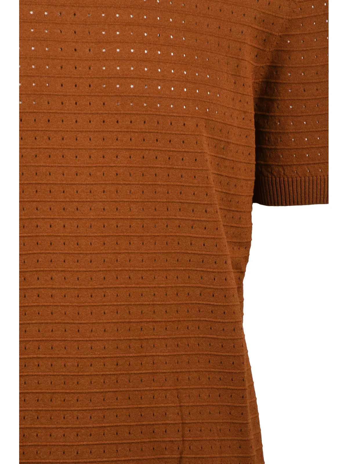 Multicolor Cotton Polyester Crew Neck Knitwear Top