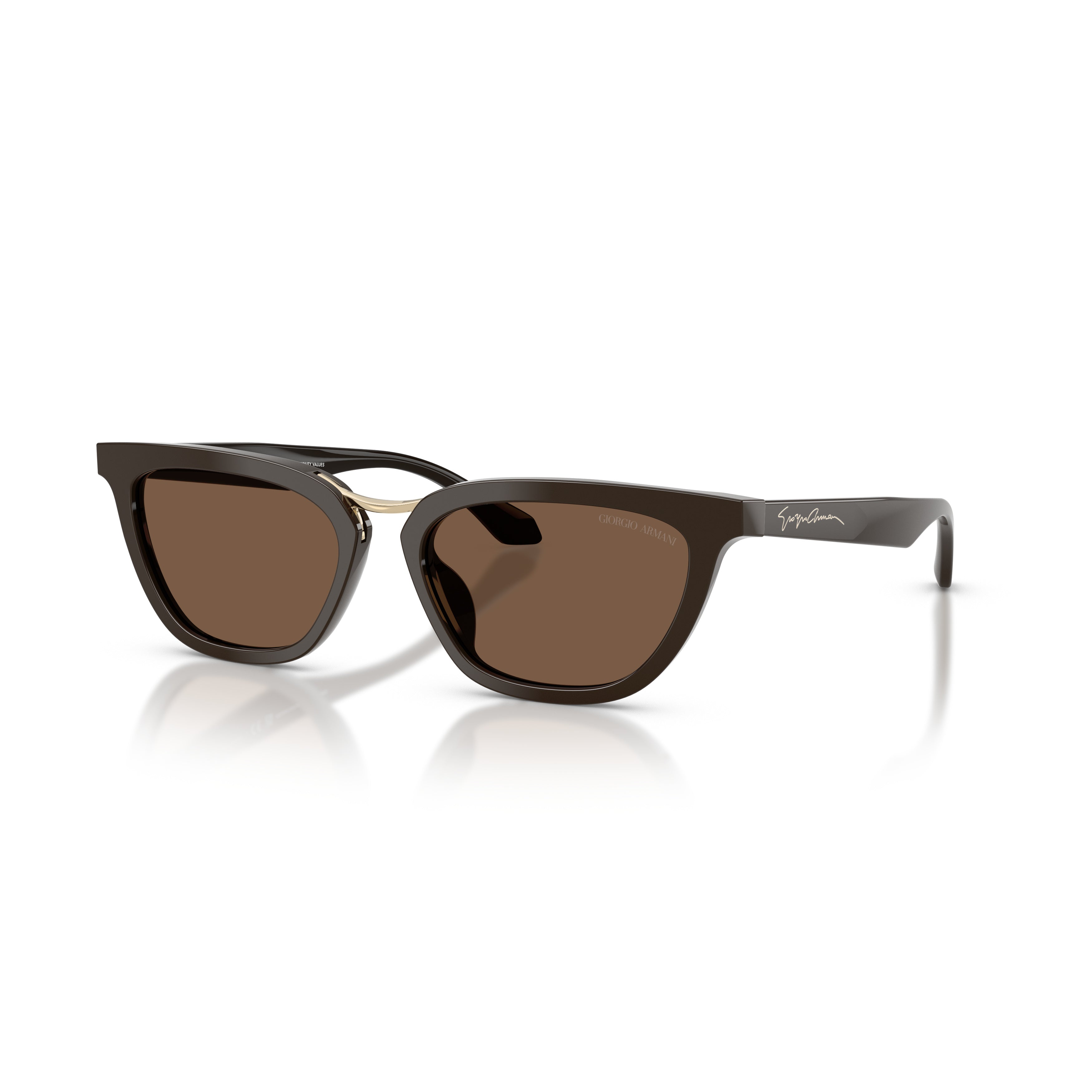 0ar8253u Angular Acetate Sunglasses with Gold Metal Bridge