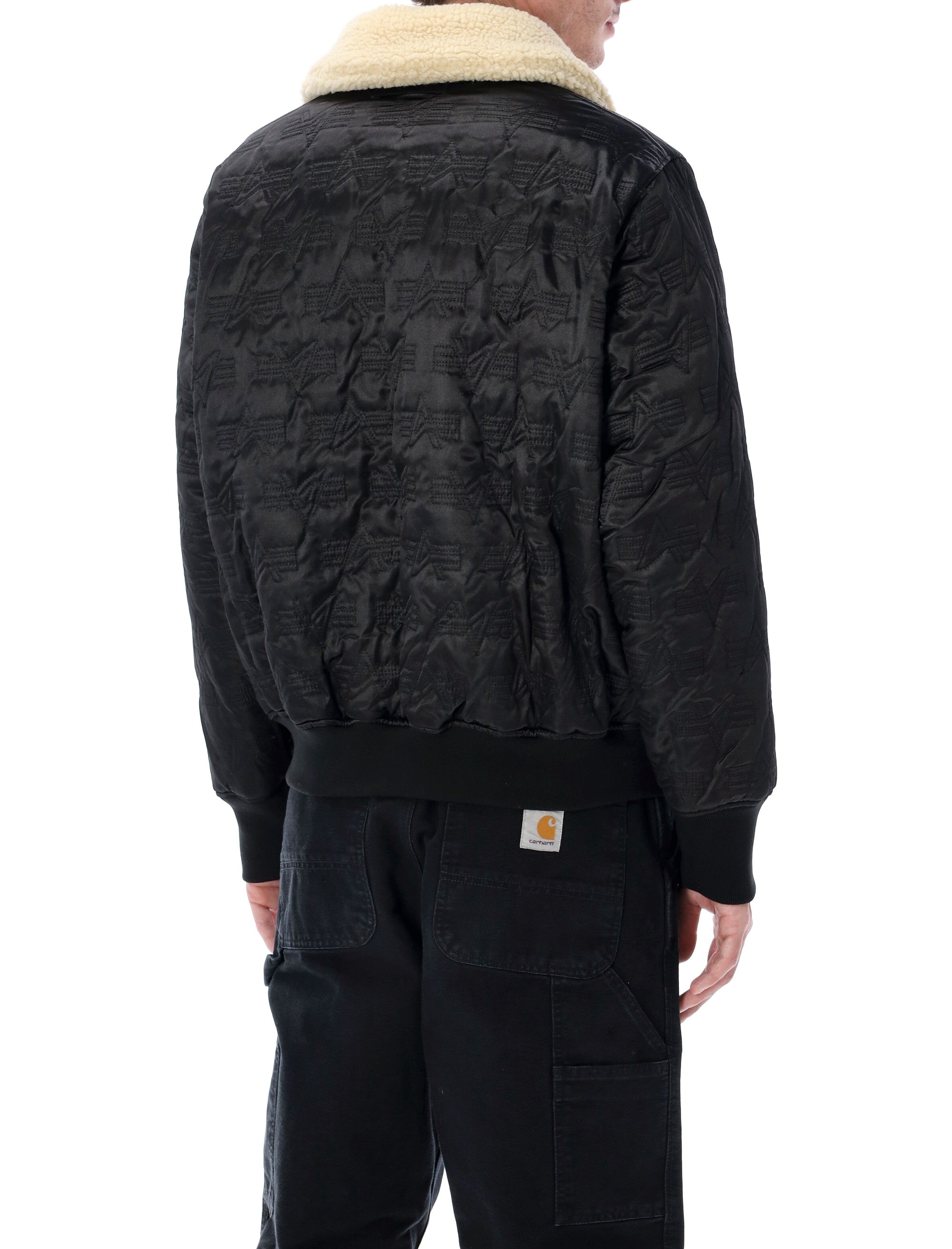 B-15 Mod Reversible Bomber