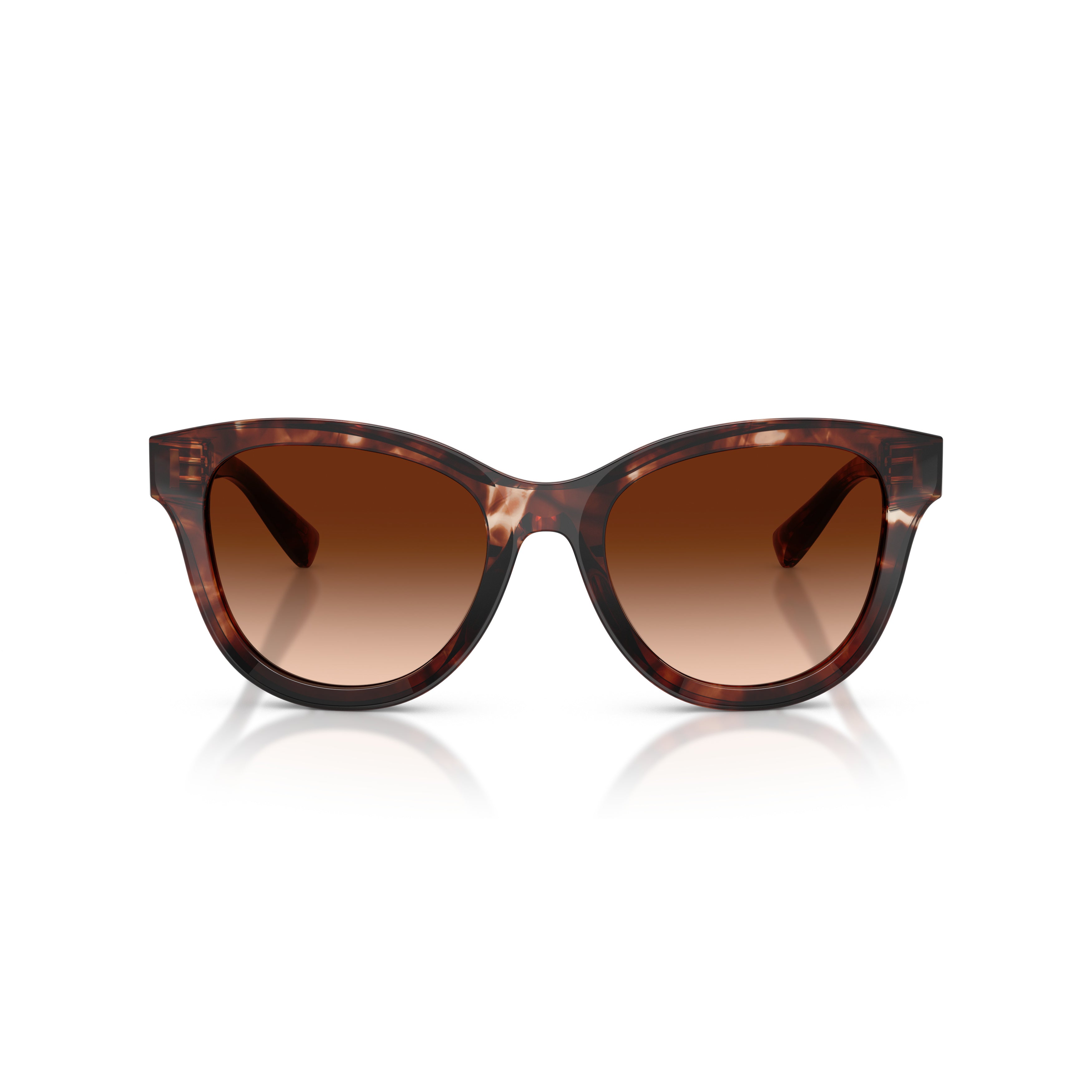 0dg4533 Rounded Tortoiseshell Sunglasses with Gradient Lenses