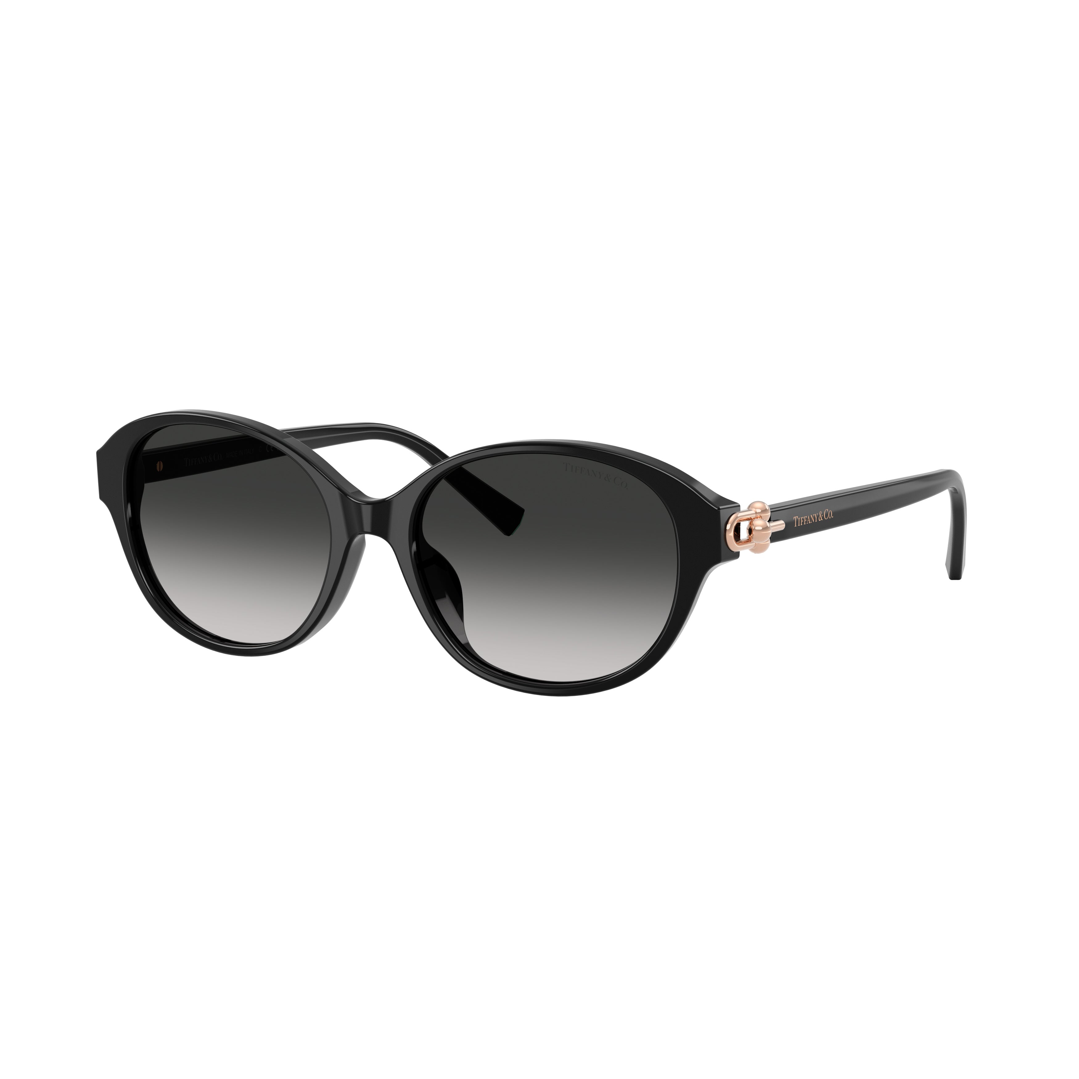 0tf4263d Rounded Black Acetate Sunglasses
