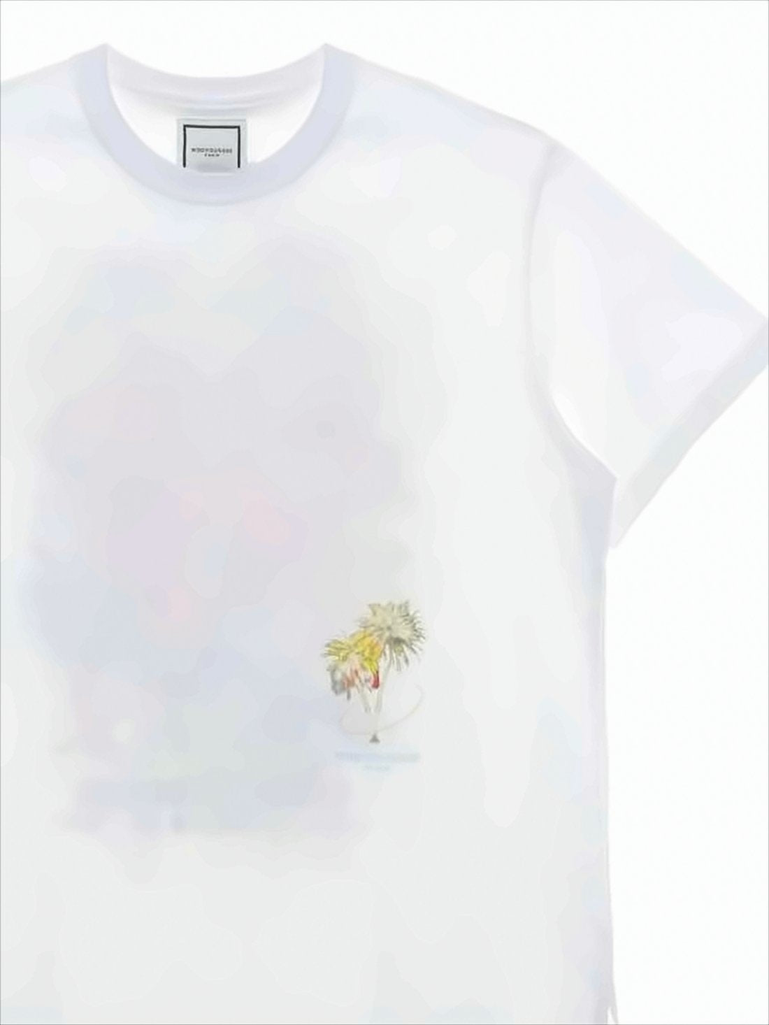 Boxy-Fit Printed T-Shirt with Tropical Graphic