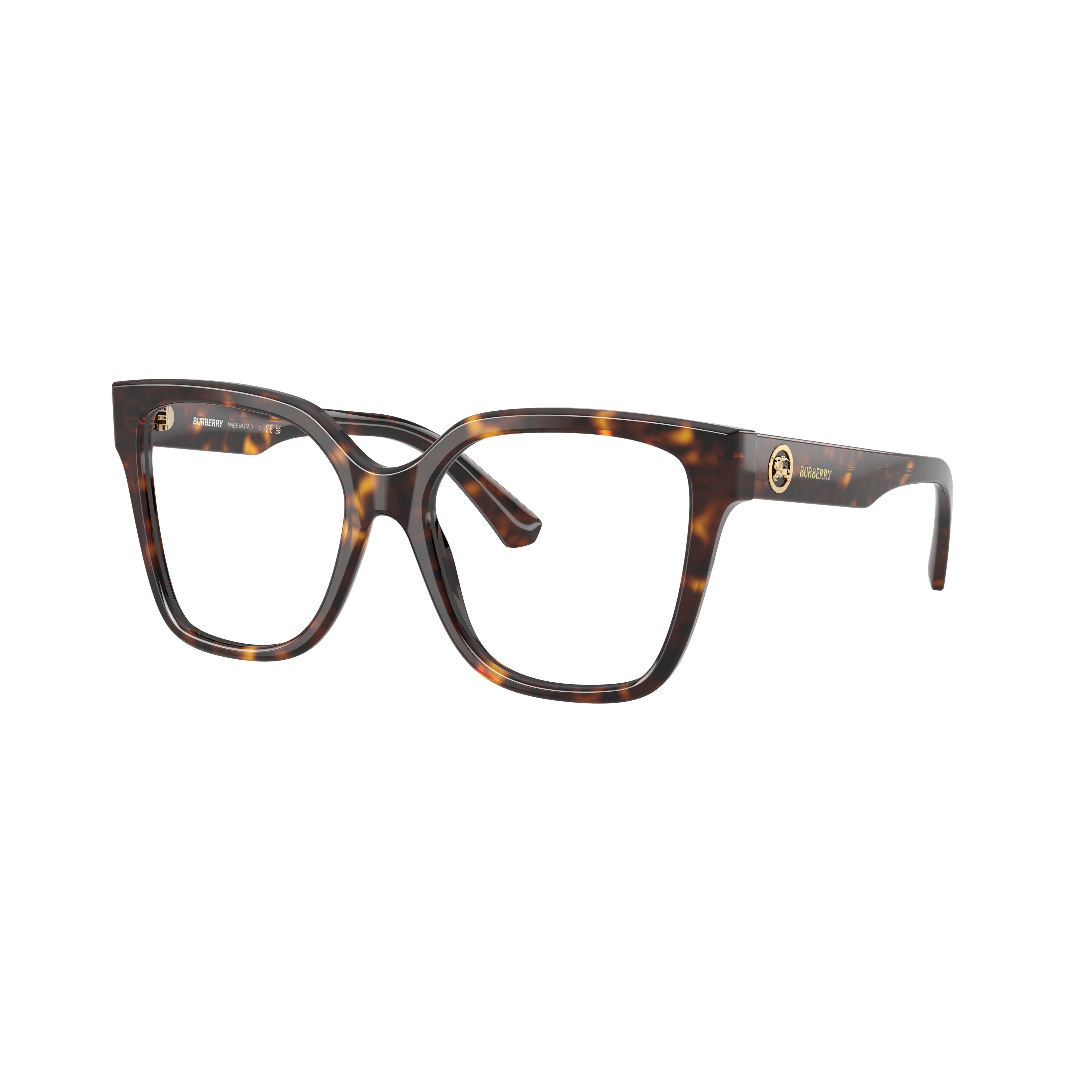 0be2443 Oversized Tortoiseshell Acetate Eyeglasses