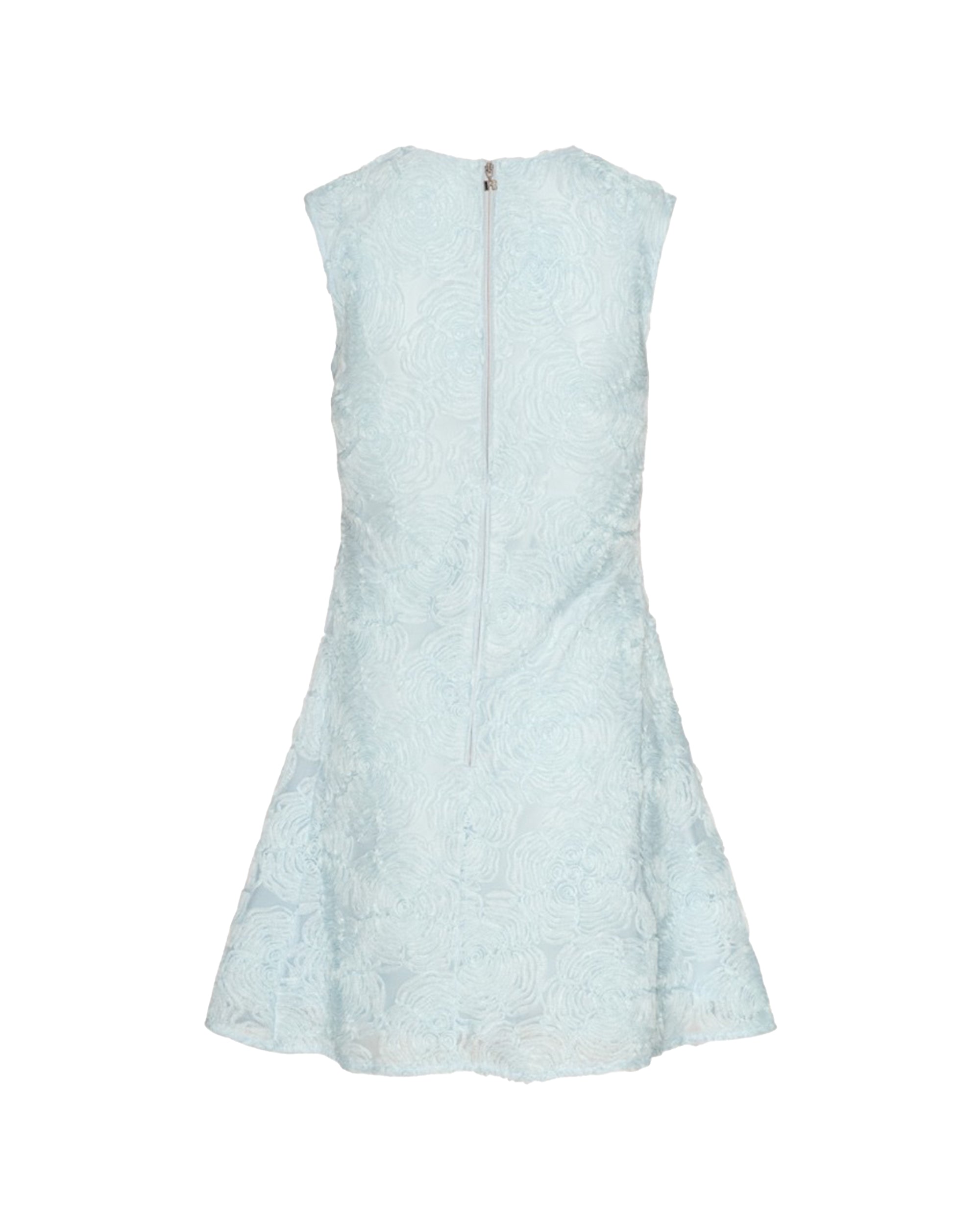 Plein Air Mesh Mini Dress