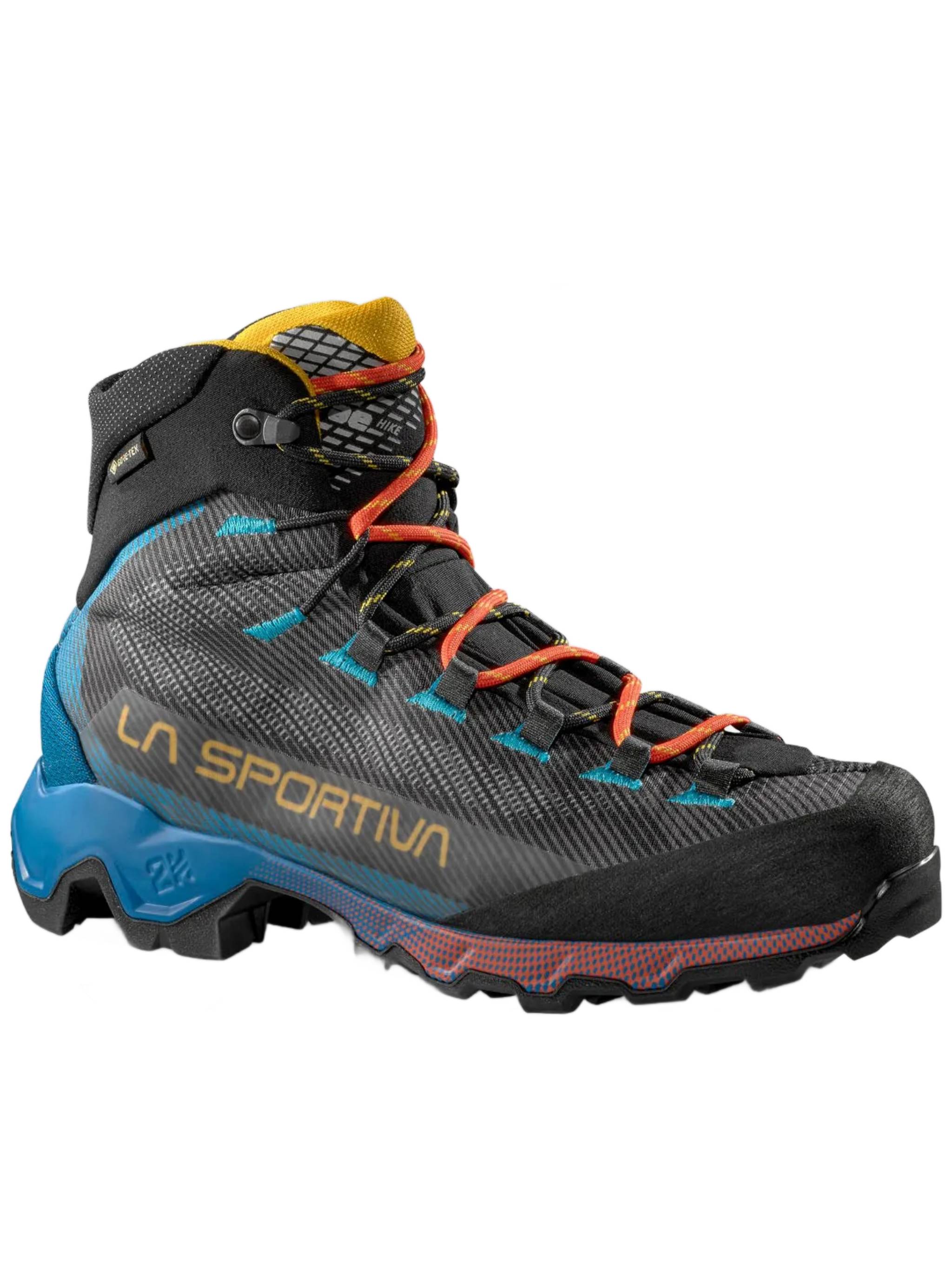 Black Aequilibrium Hike GTX Technical Shoes