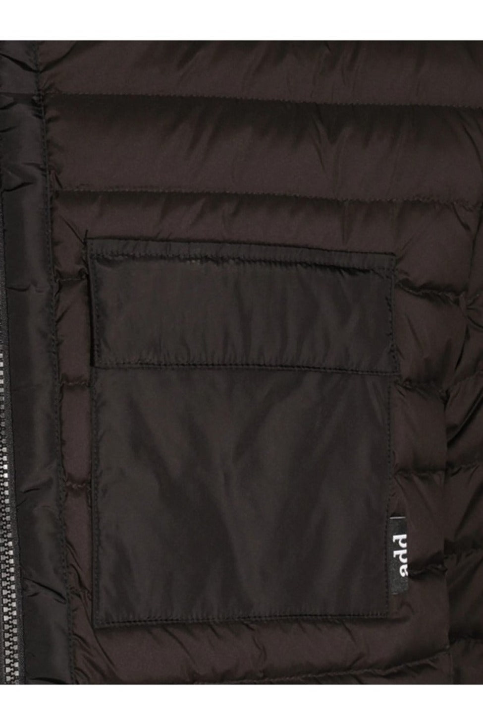 Quilted Black Jacket With High Collar