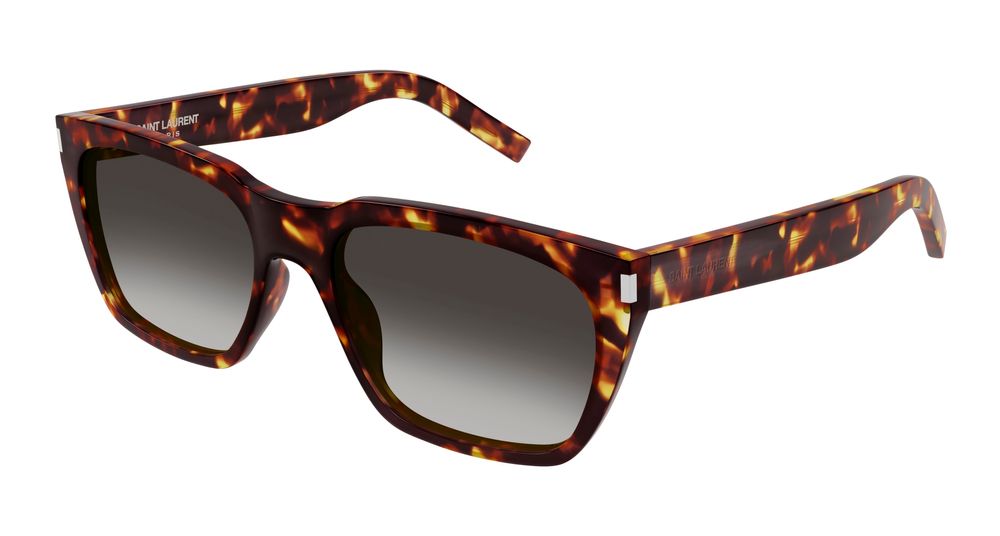 Sunglasses SL 598 004 havana havana grey 56/18/145
