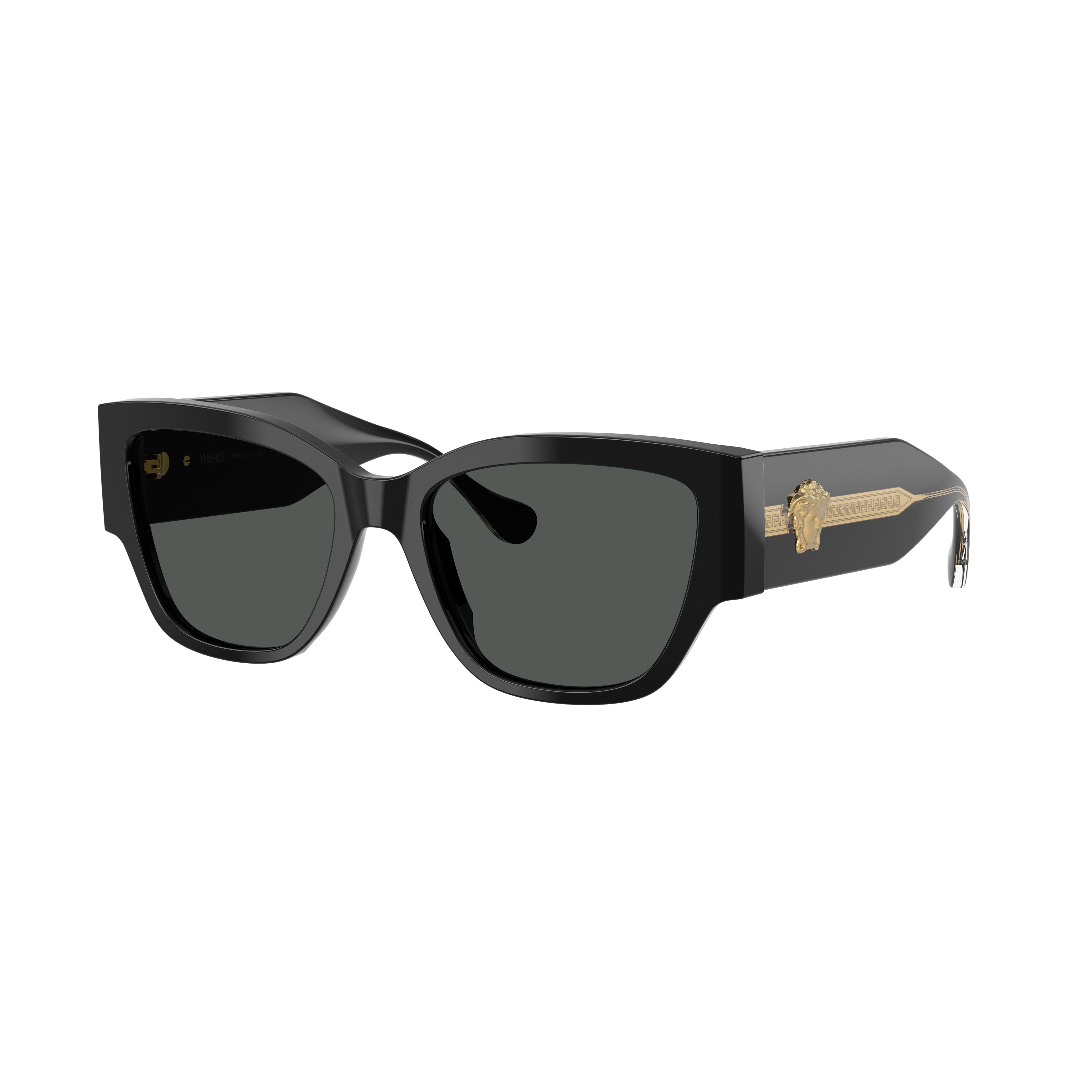 Oversized Square Frame Sunglasses with Gold-Tone Emblem