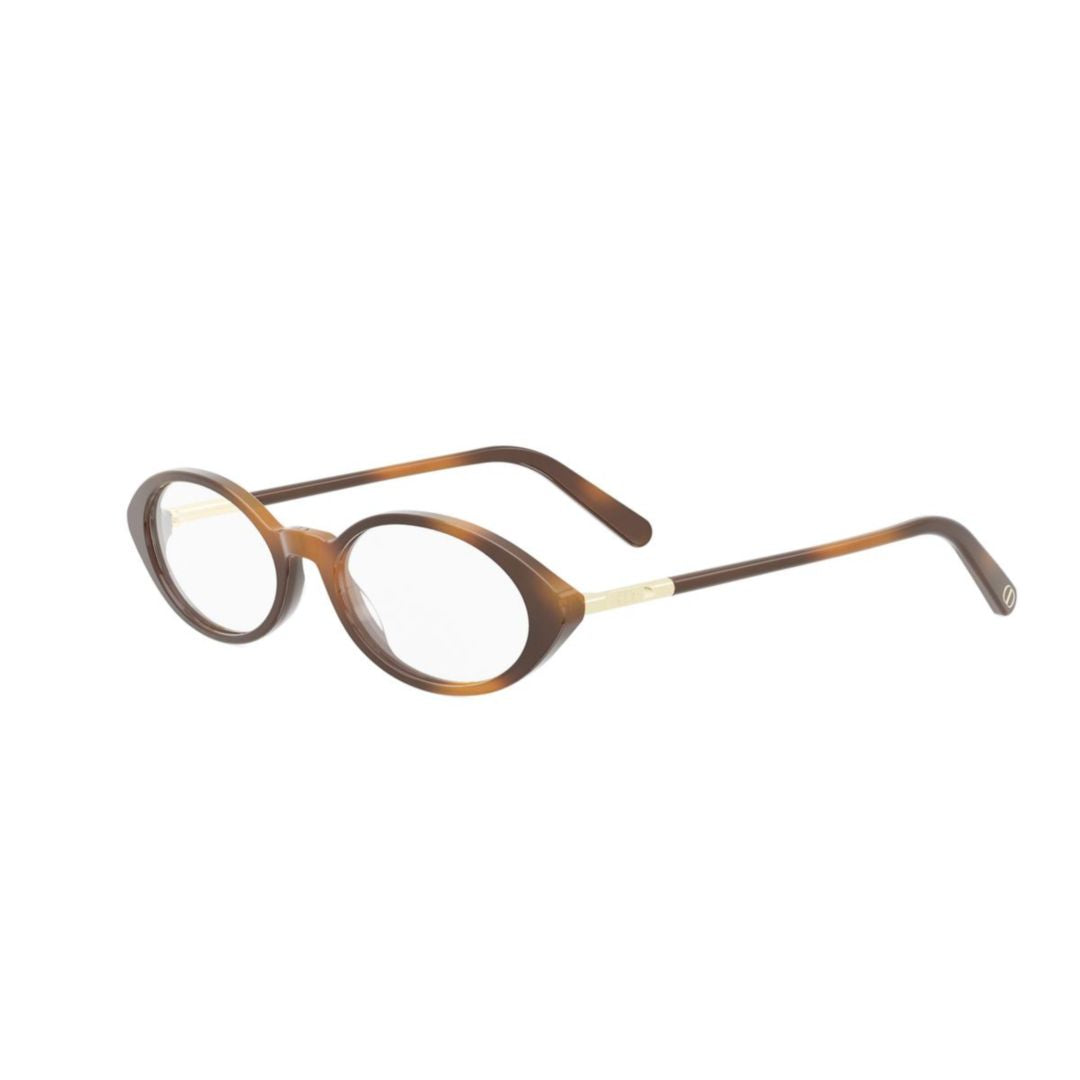 Mini Cd O R8i Gradient Oval Frame Sunglasses