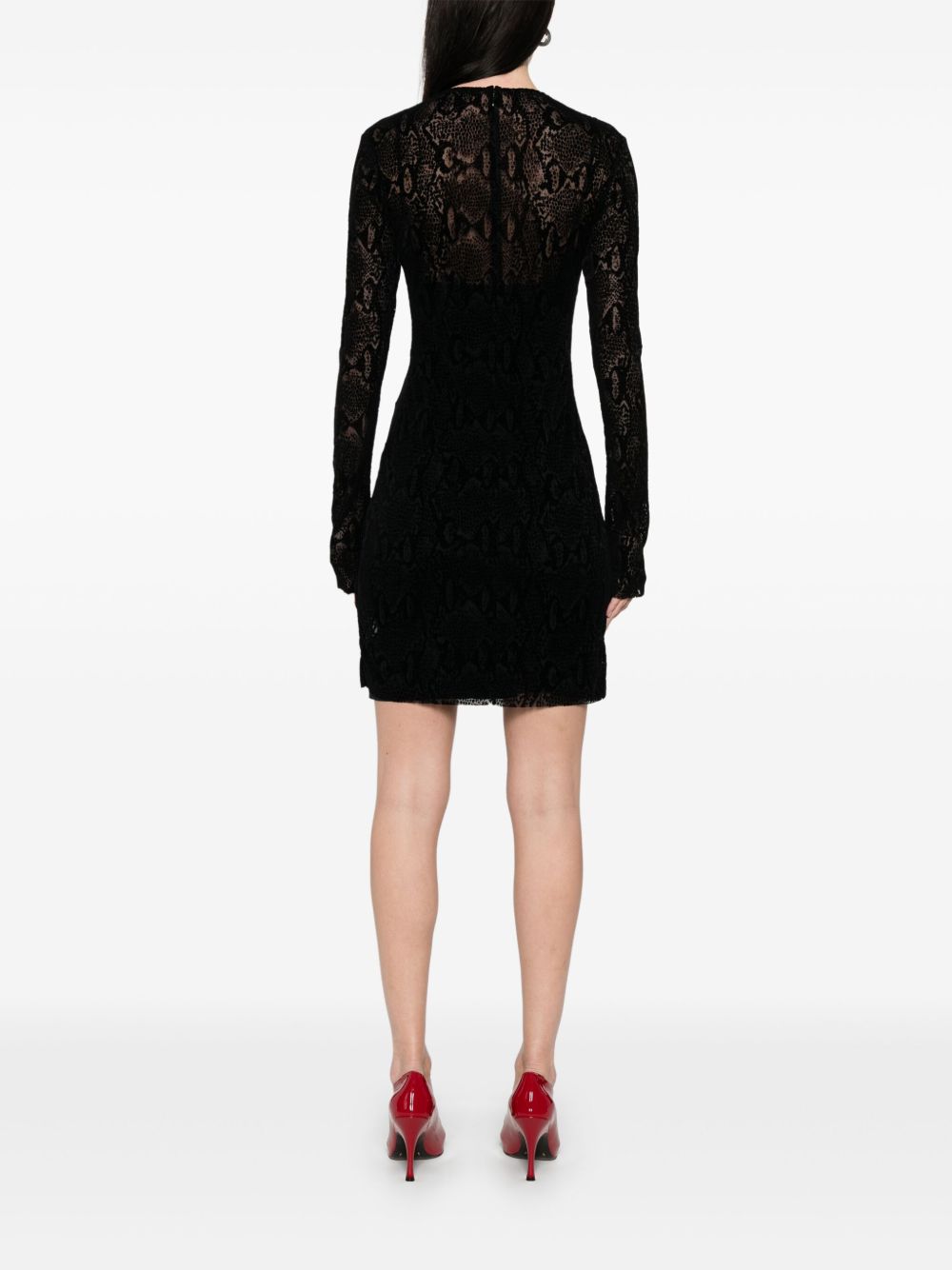 Sheer Lace Mini Dress