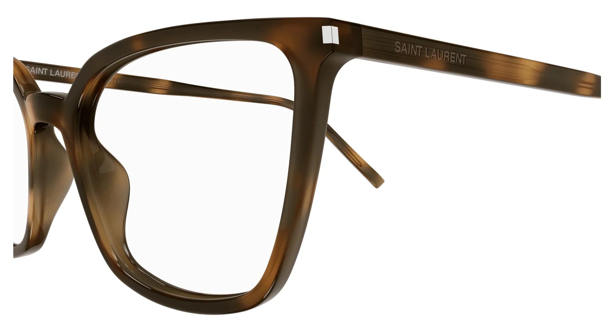 Eyeglasses SL 669 003 havana havana transparent 54/18/145