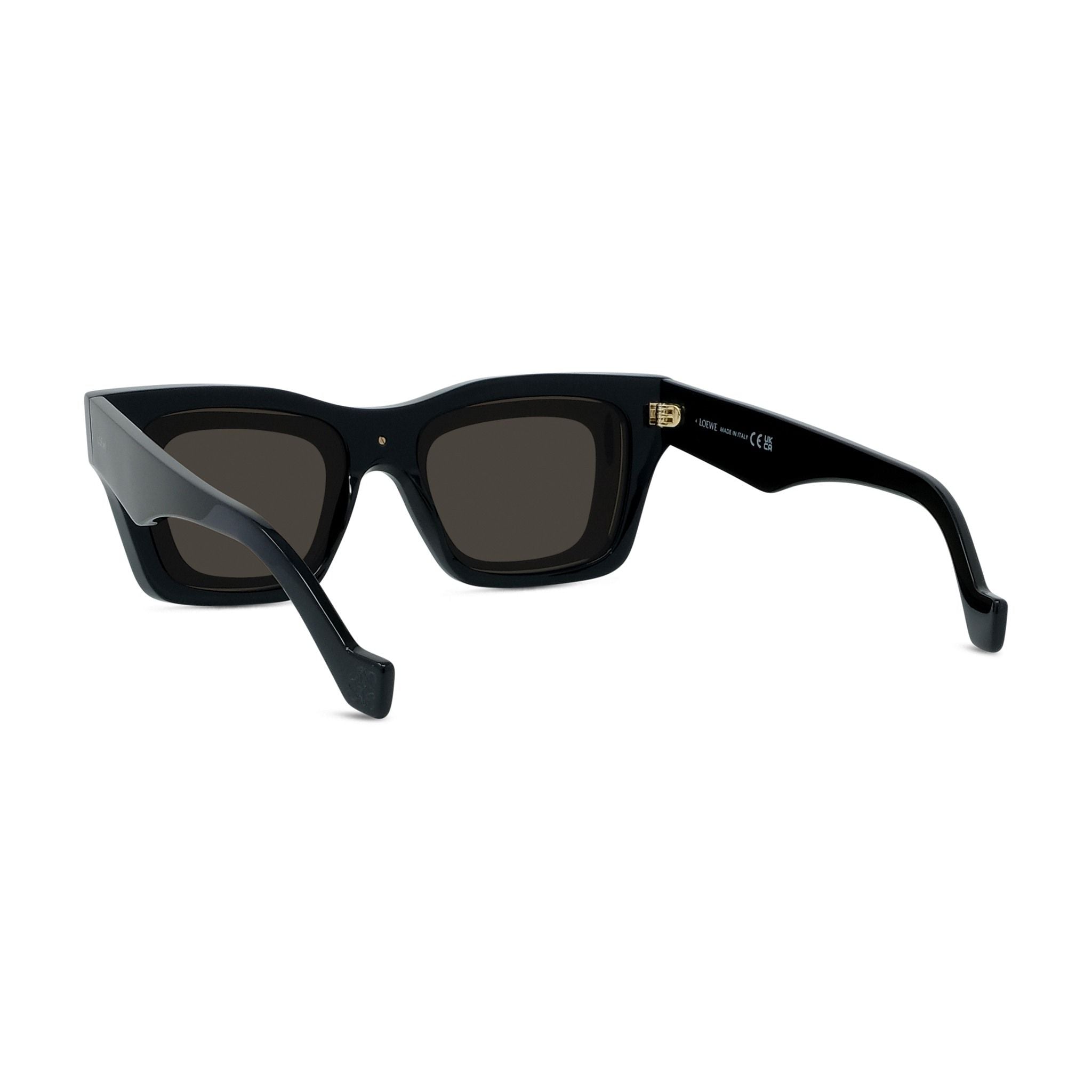 Lw40169i Bold Rectangular Acetate Sunglasses