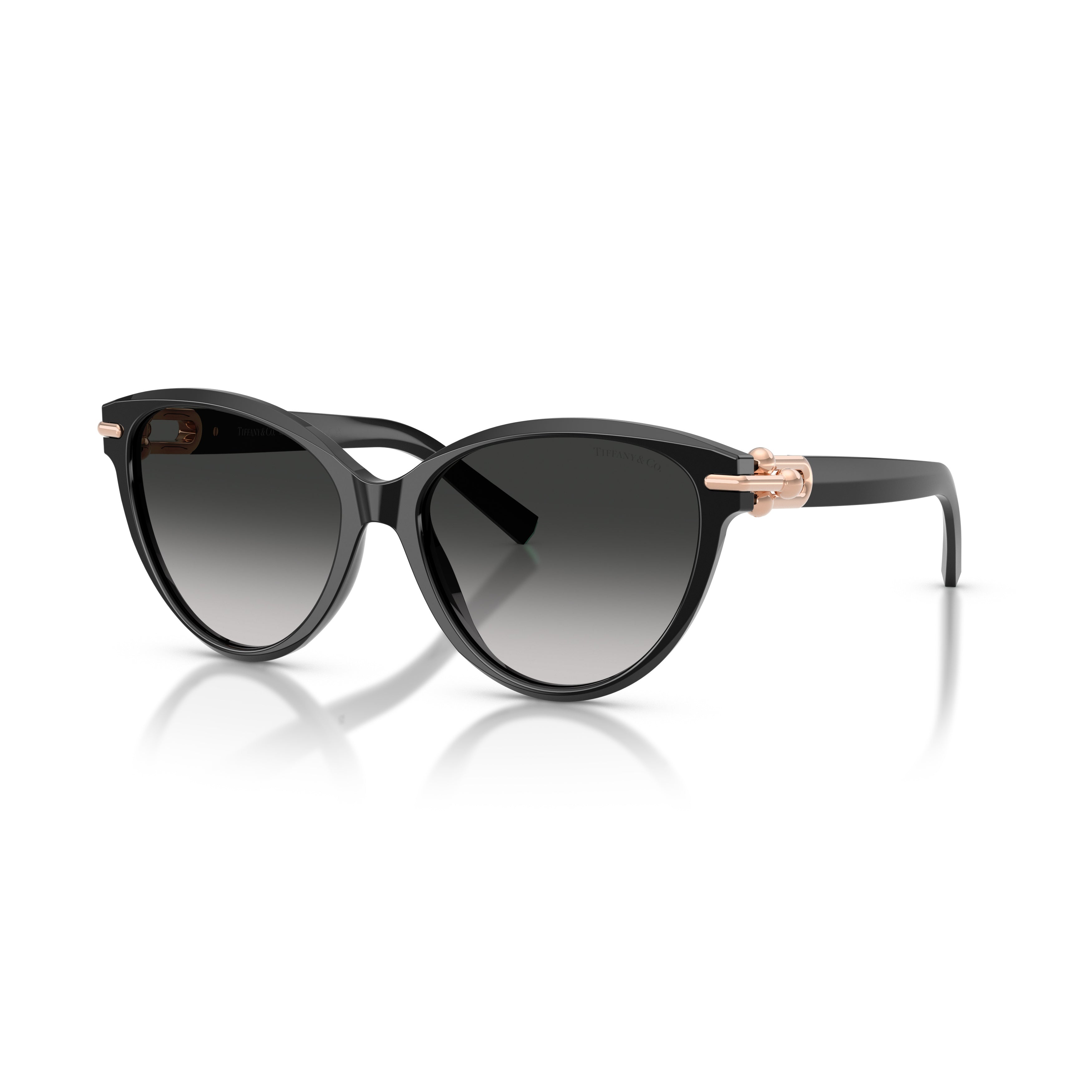 0tf4261 Cat-Eye Sunglasses