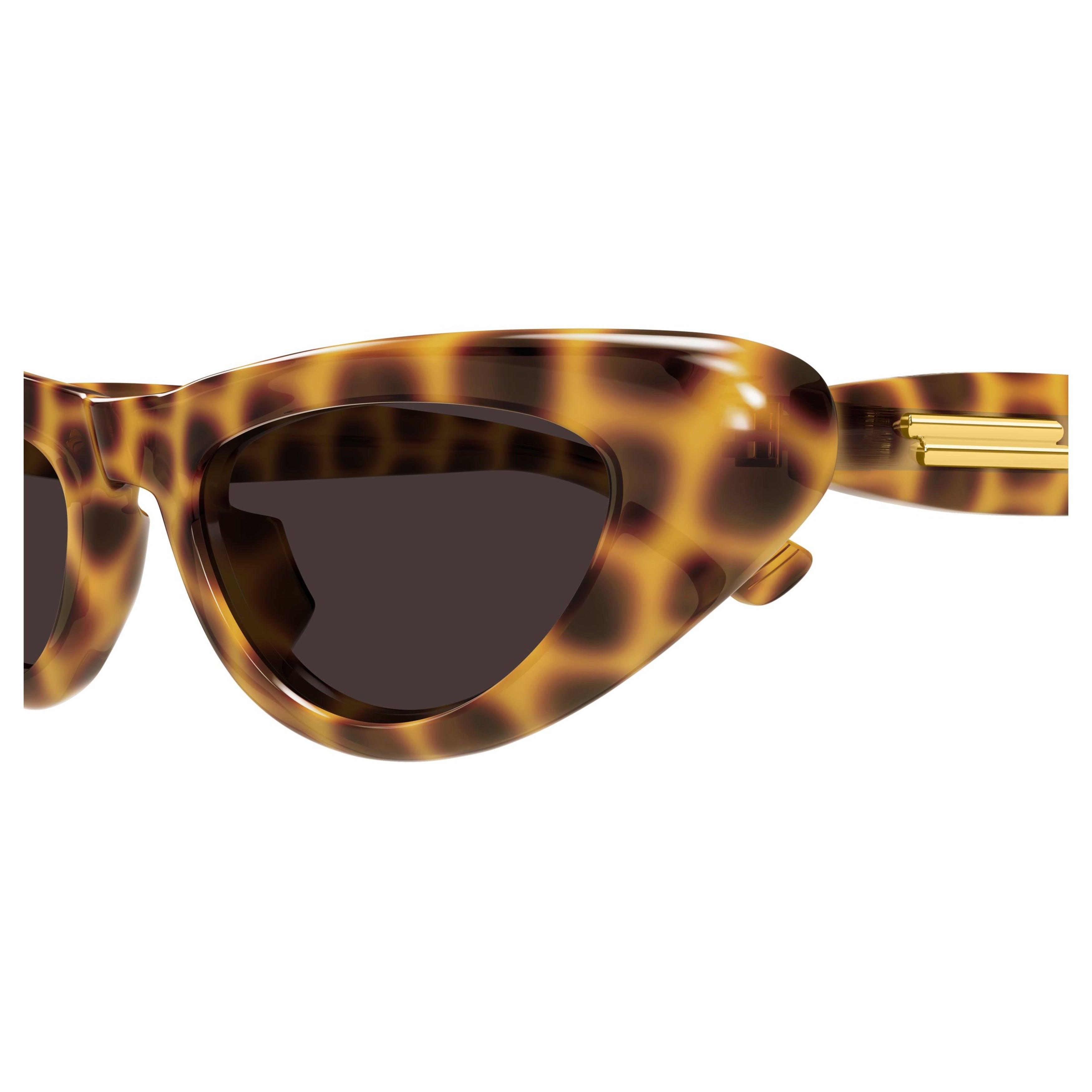 Bv1450s Bold Cat-Eye Sunglasses