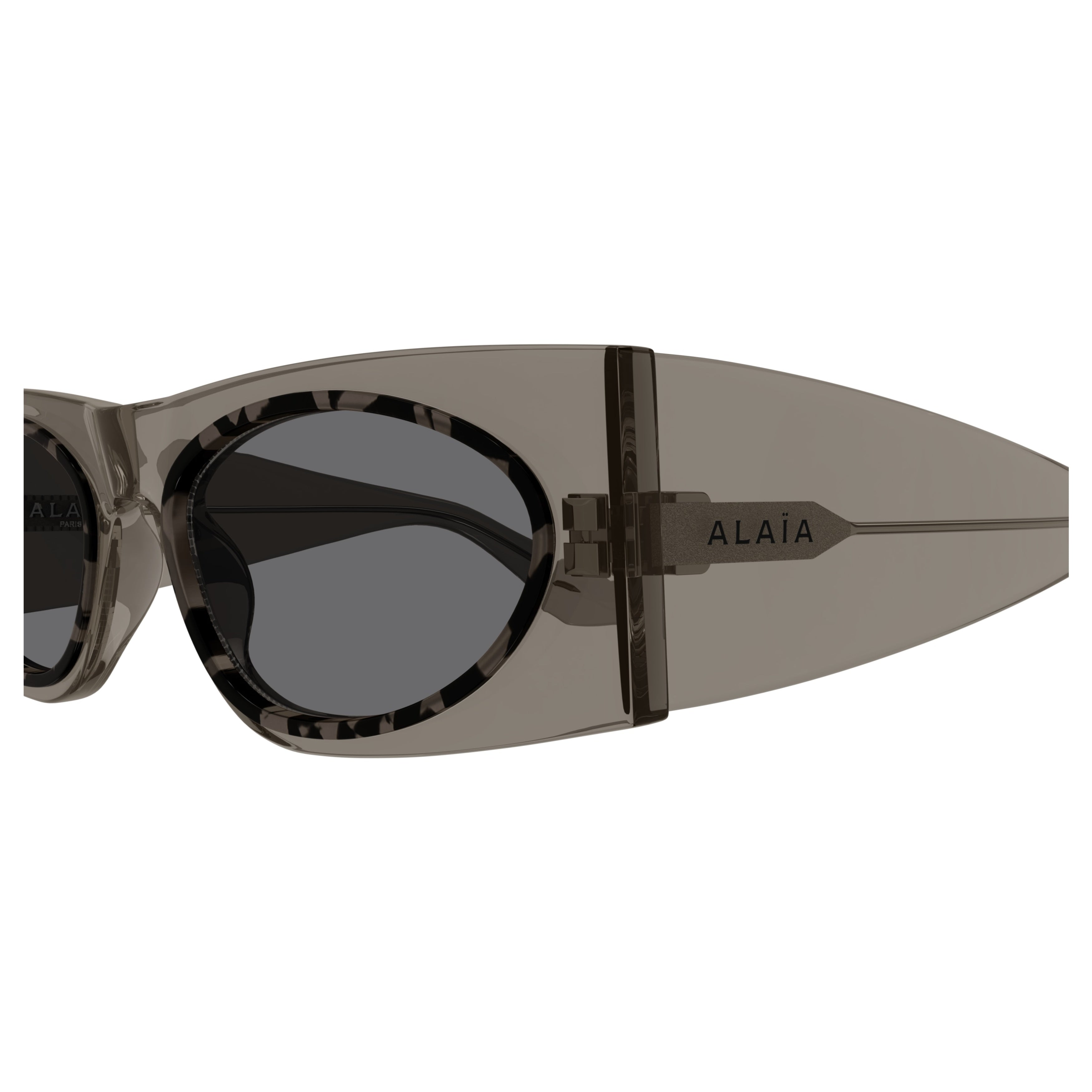Aa0085s Oversized Rectangular Sunglasses with Tortoiseshell Pattern