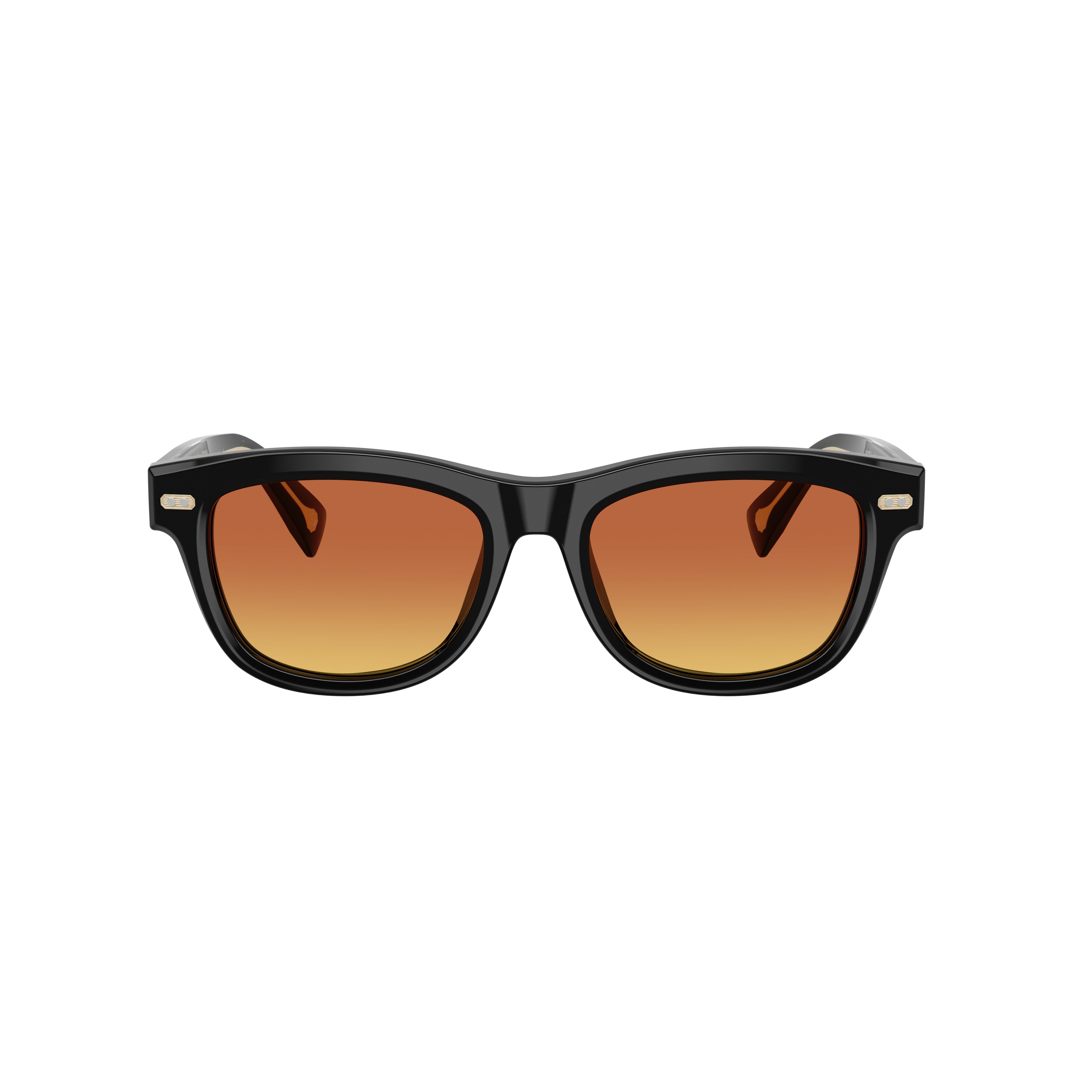 0bc3016 Bold Rectangular Acetate Sunglasses with Metallic Accents