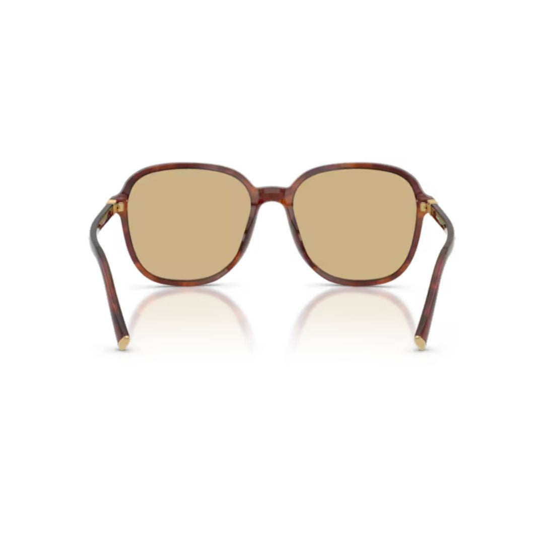 0mu B01s Classic Tortoiseshell Square Frame Sunglasses