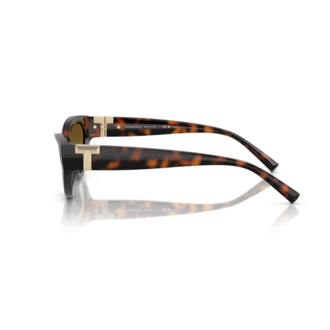0tf4225u Cat-Eye Frame Sunglasses