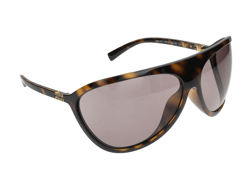 Injected Frame Sunglasses with Modern Silhouette