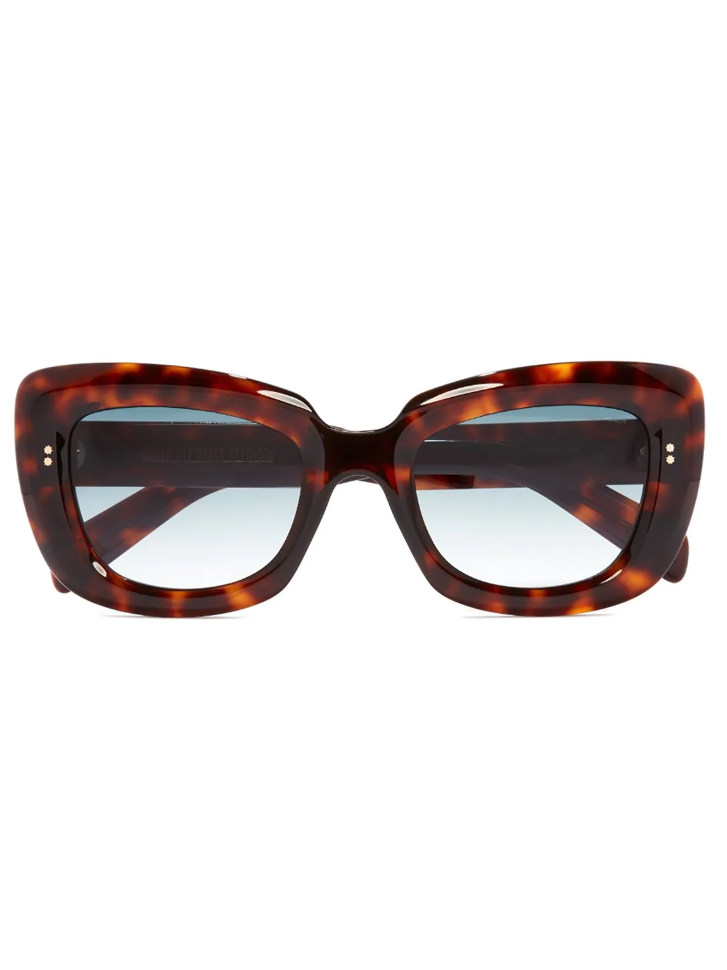 Oversized Tortoiseshell Frame Sunglasses