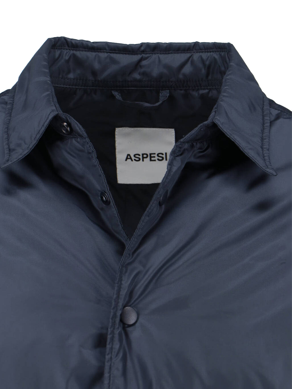 Tailored Fit Button-Down Shirt with Pointed Collar