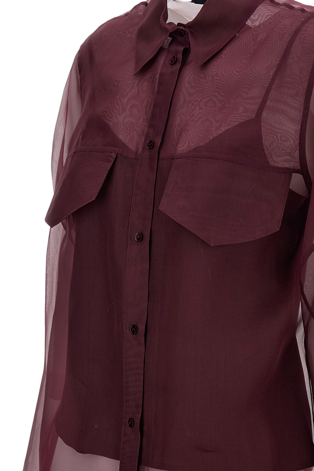 Sheer Silk Organza Blouse with Pointed Collar