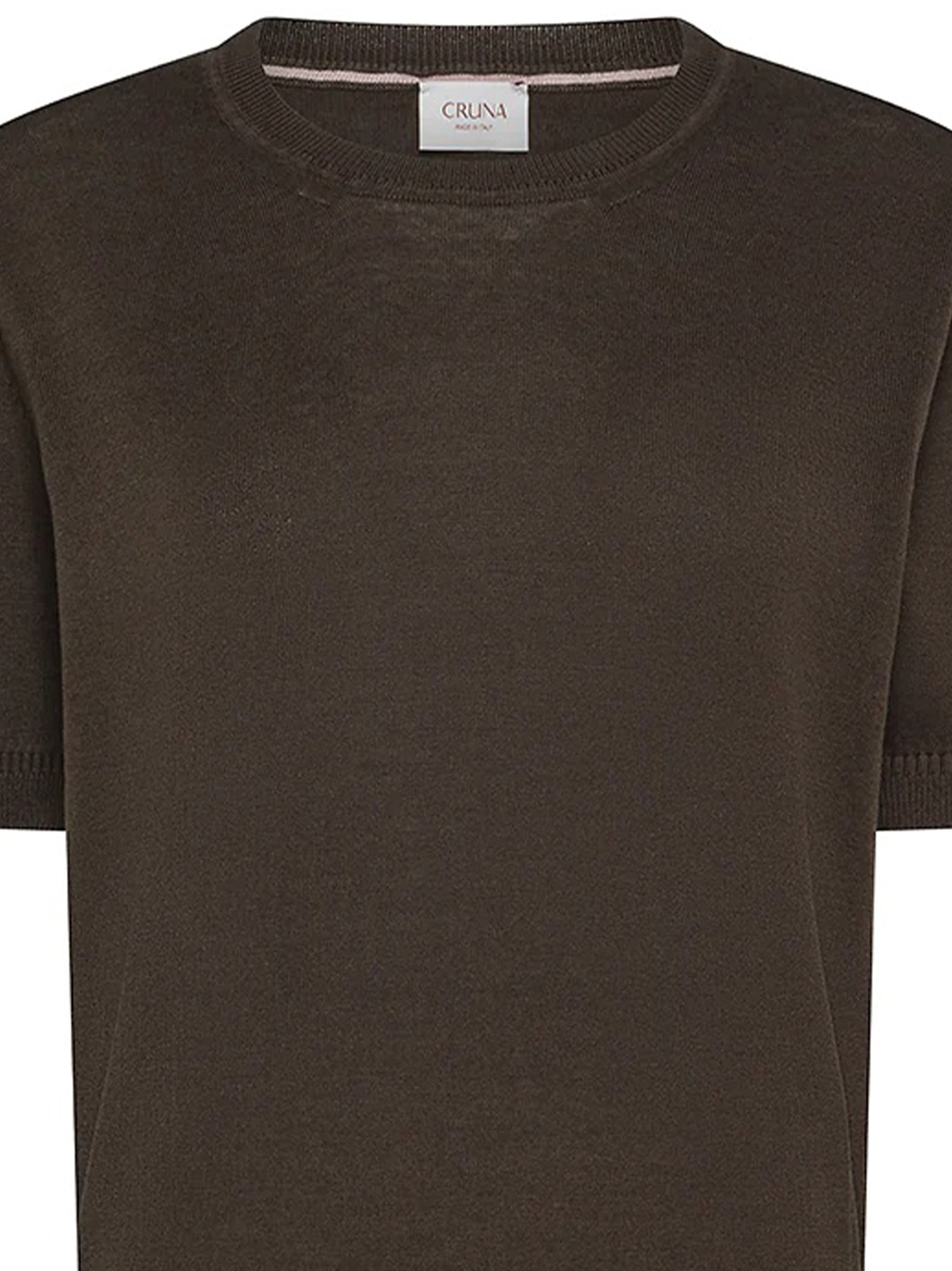 Cropped Brown Smooth Fabric Ribbed T-Shirt