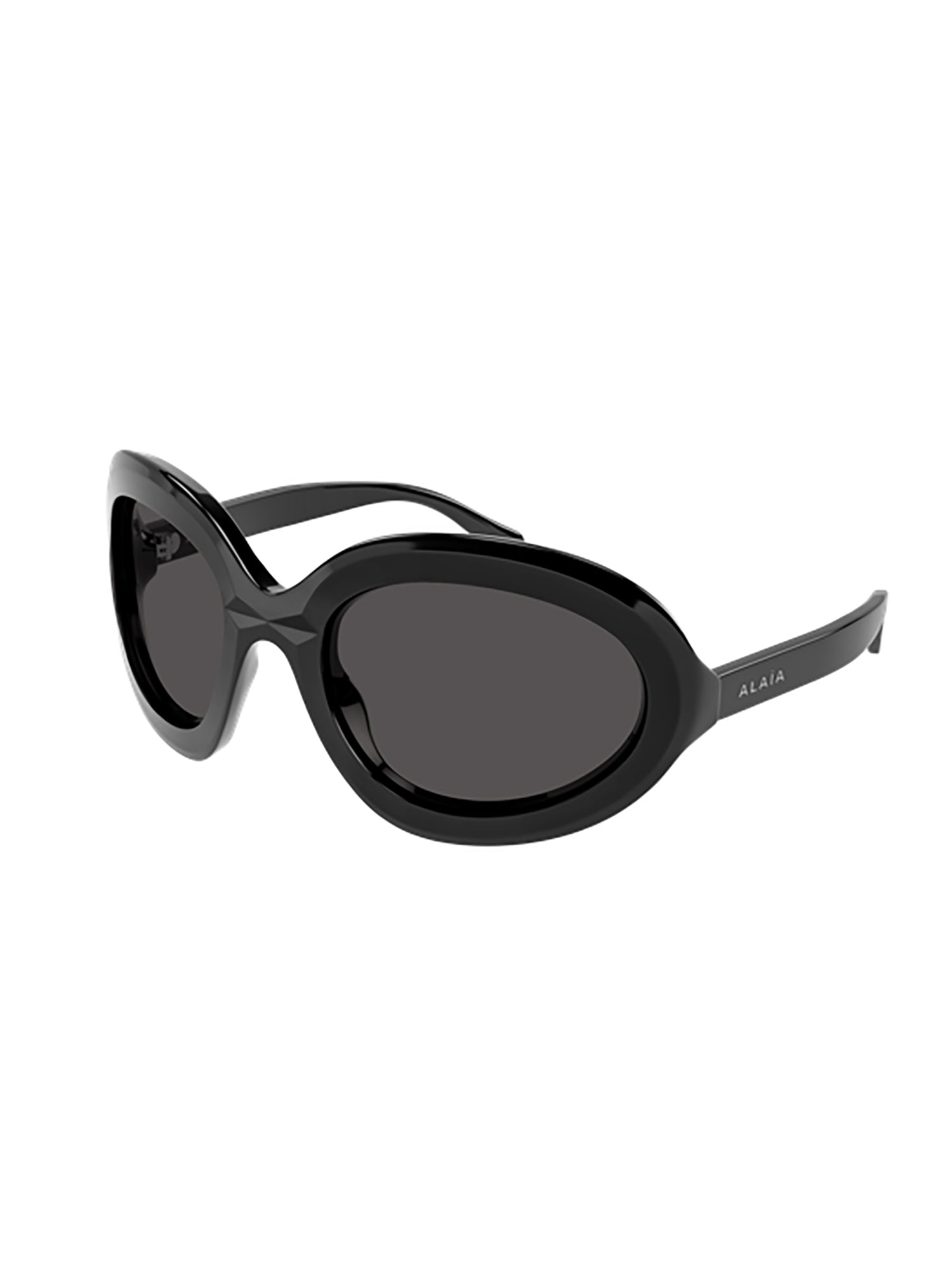 Glossy Black Oval Sunglasses