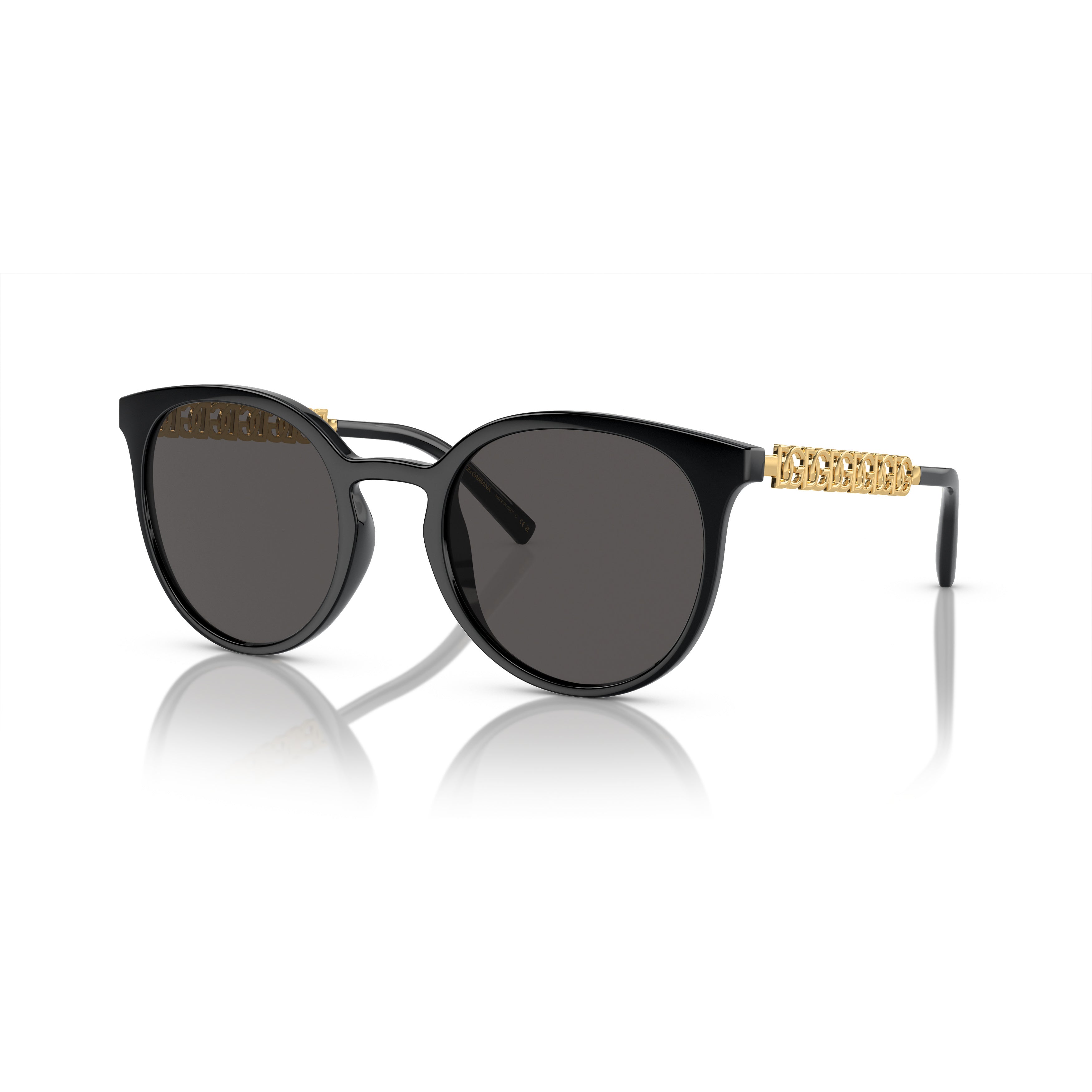 0dg6189u Round Frame Sunglasses