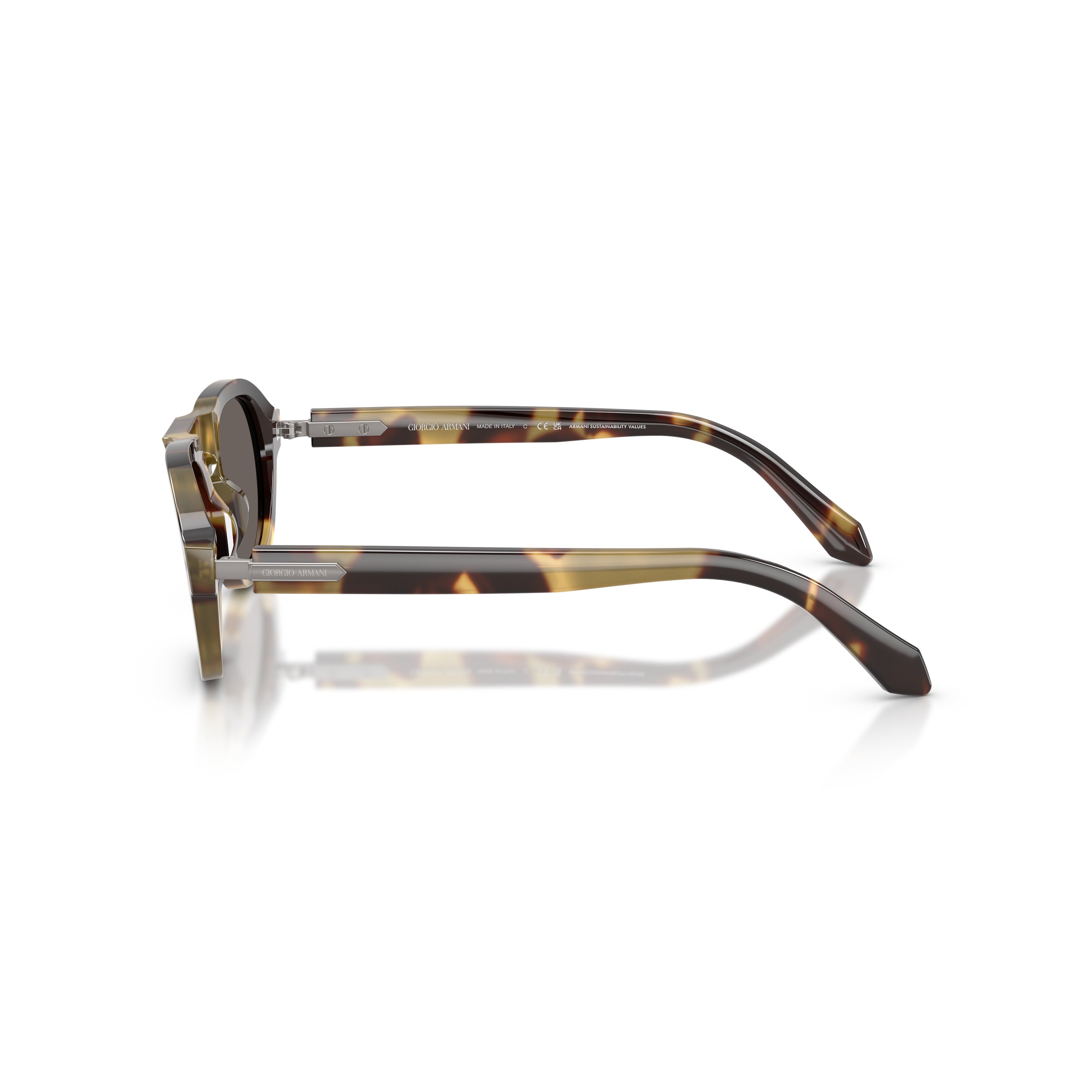 0ar8244 Bold Tortoiseshell Acetate Sunglasses with Dark Lenses