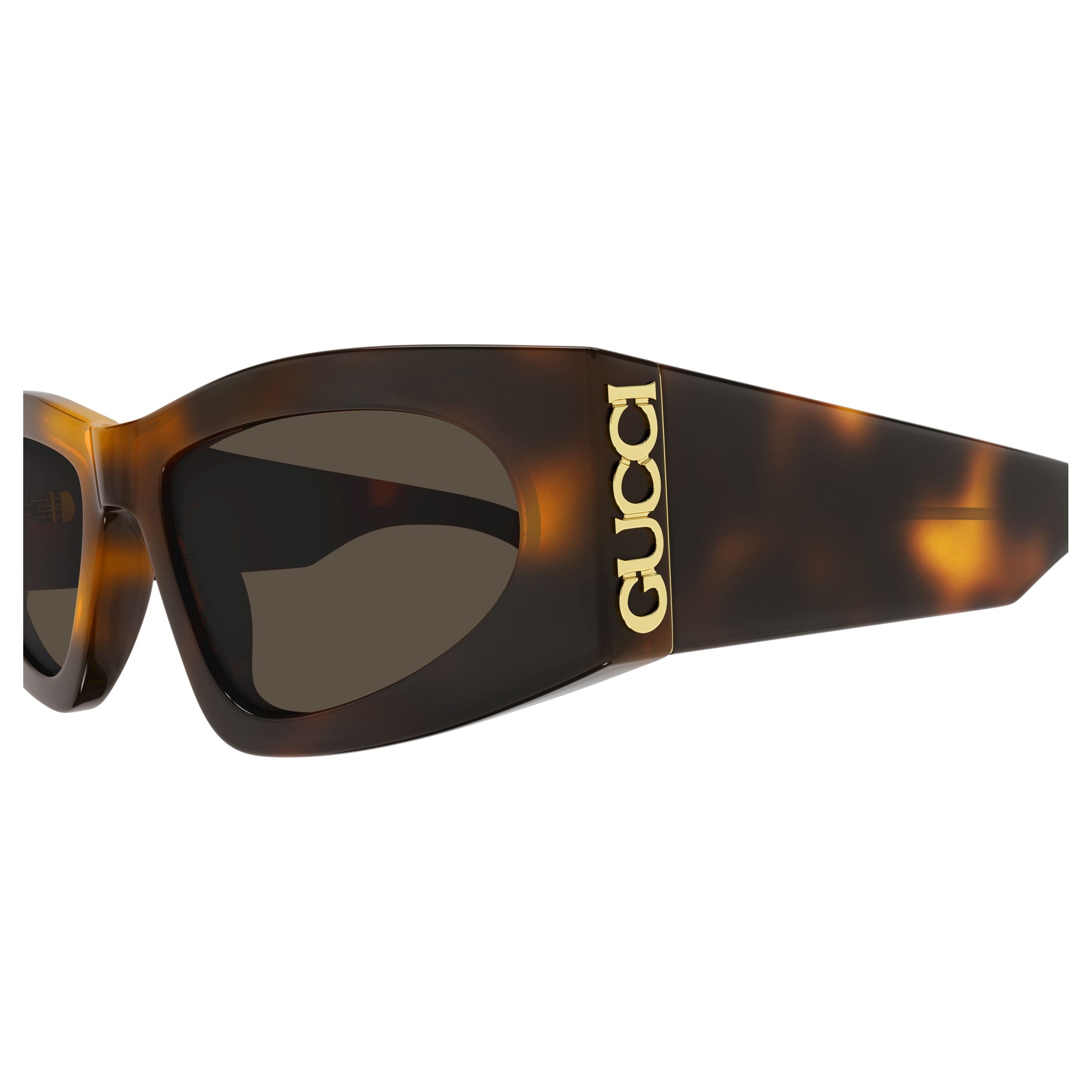 Gg2040s Angular Cat-Eye Sunglasses