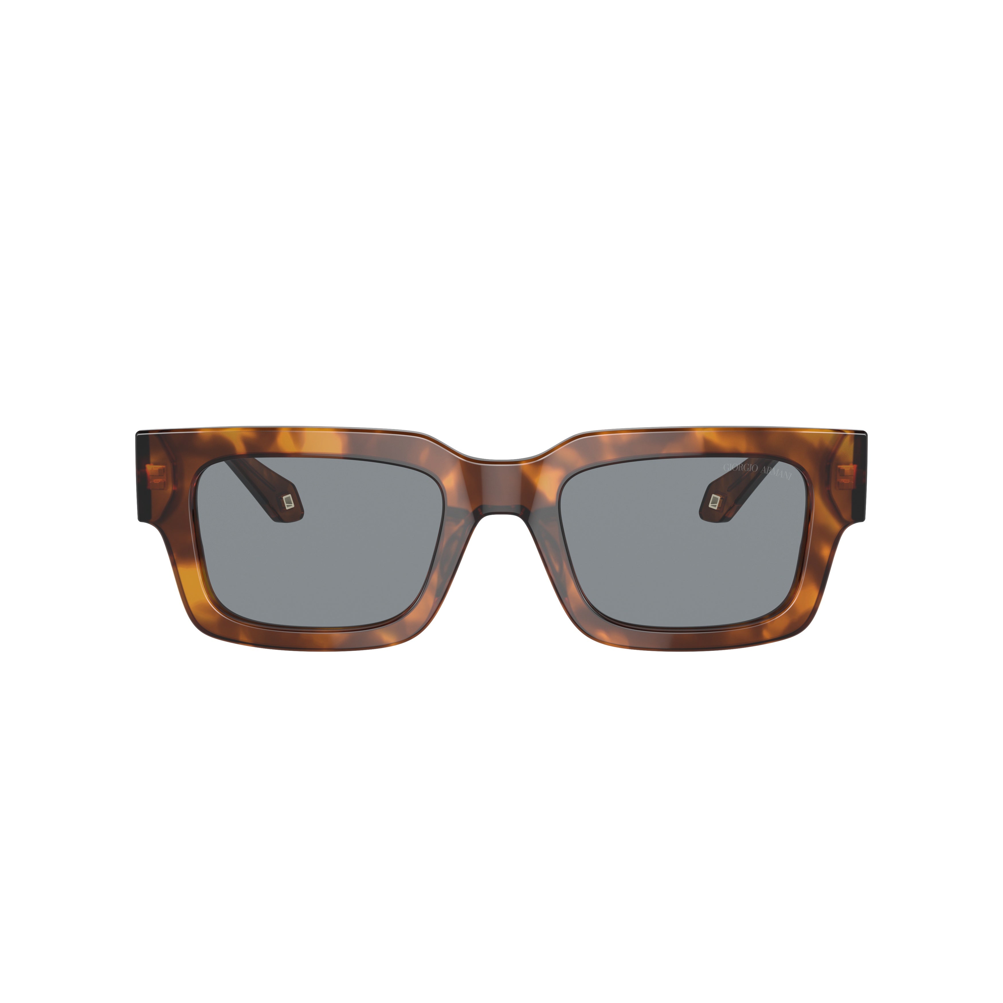 0ar8184u Rectangular Tortoiseshell Sunglasses with Metallic Accents