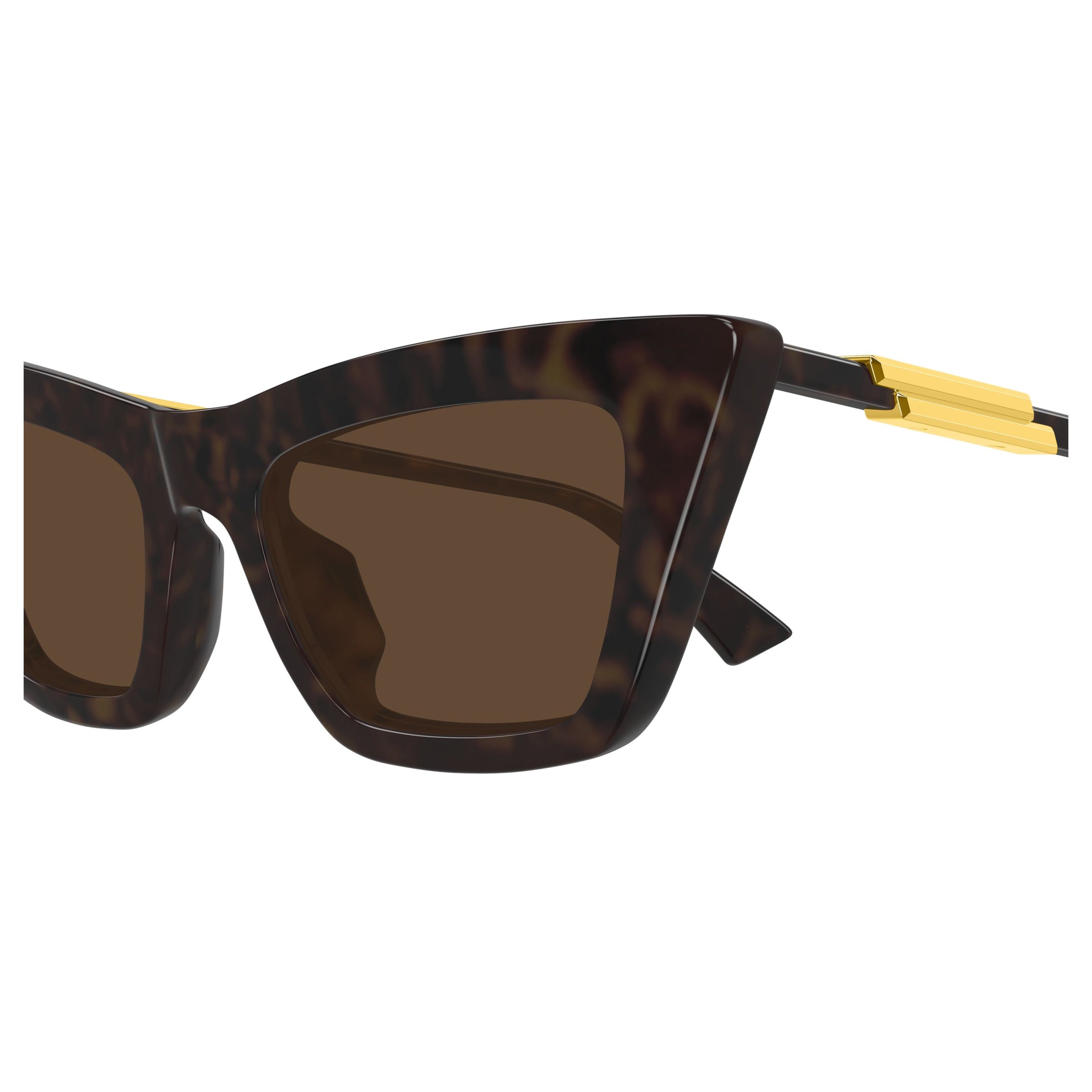 Bv1446s Angular Cat-Eye Sunglasses
