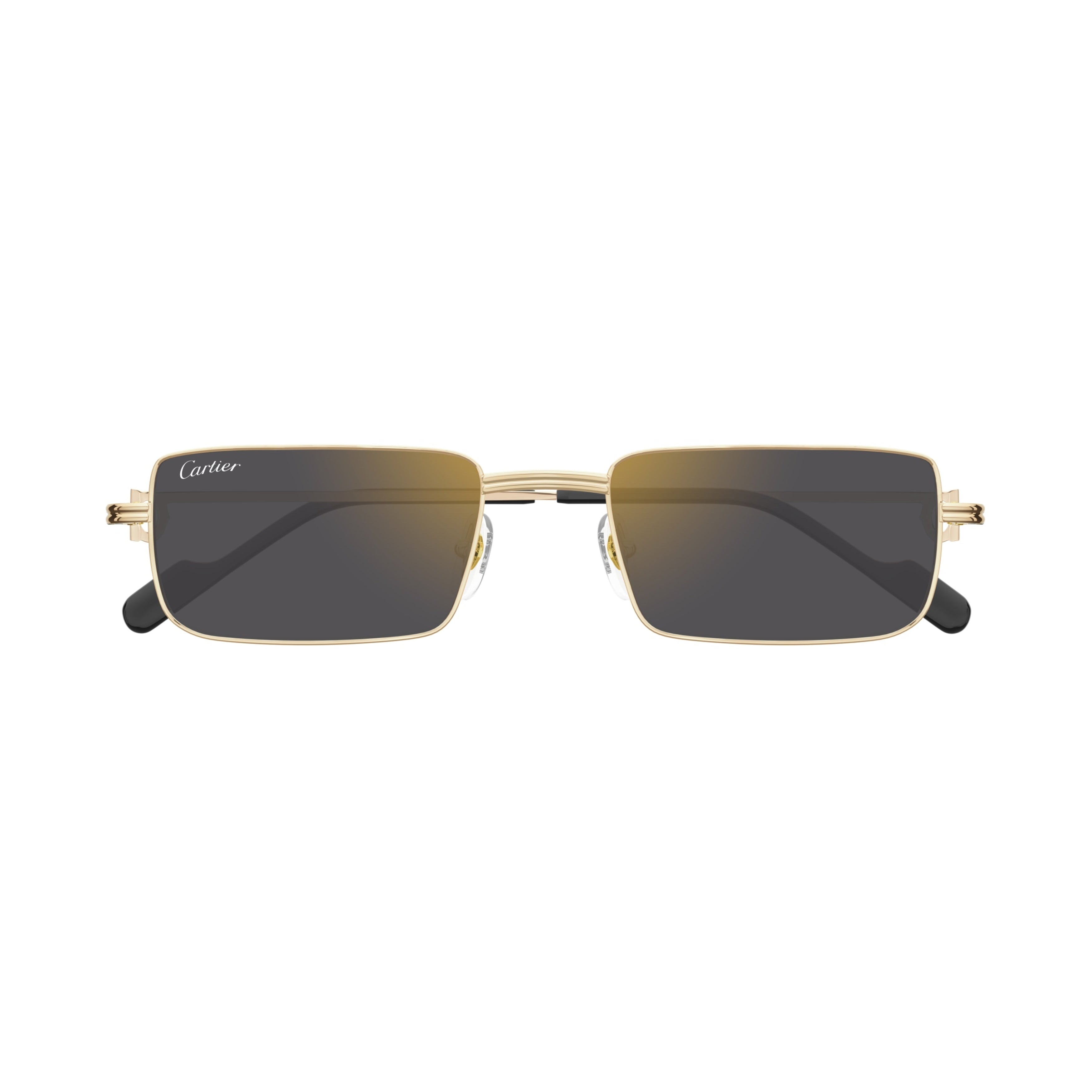 Ct0501s Rectangular Gold-tone Sunglasses