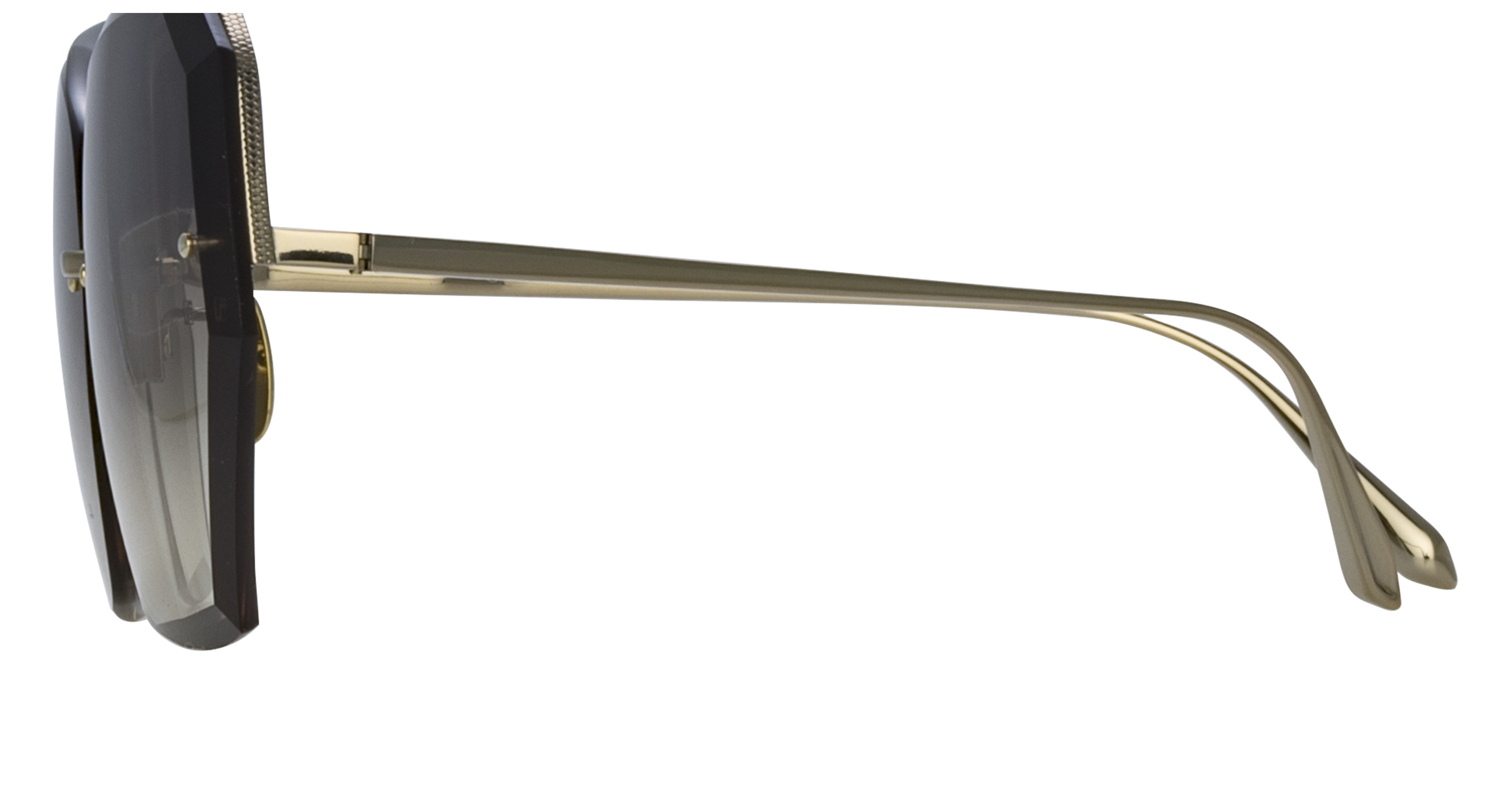 Lfl Oversized Geometric Sunglasses with Minimalistic Titanium Frame
