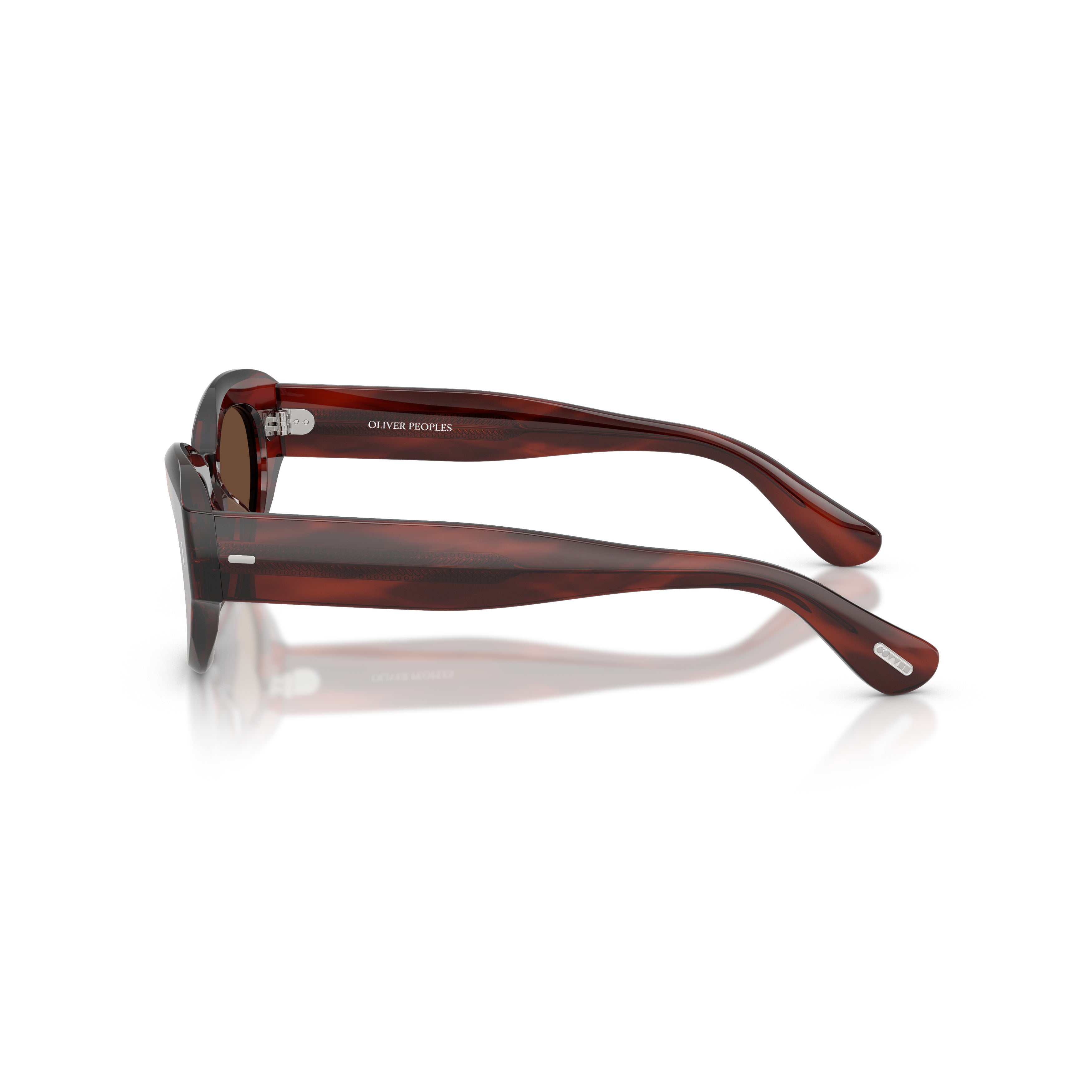 0ov5615su Cat-Eye Tortoiseshell Sunglasses with Metallic Accents