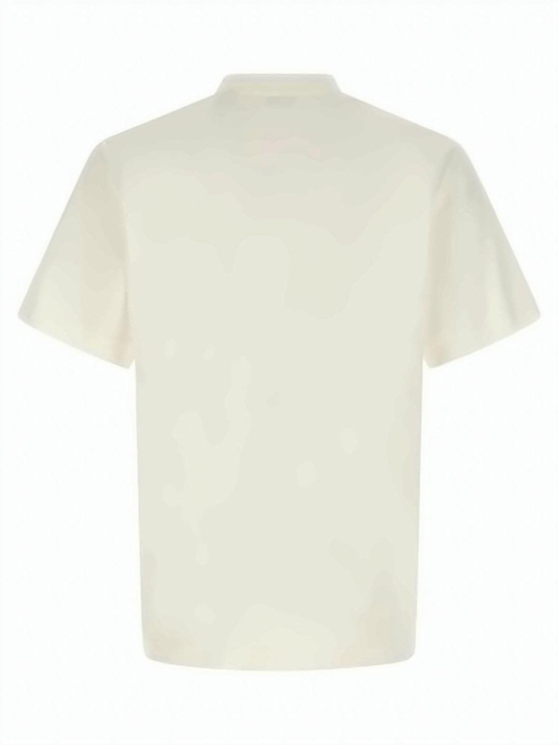 Short-Sleeved Crew Neck Cotton T-Shirt with Graphic Print