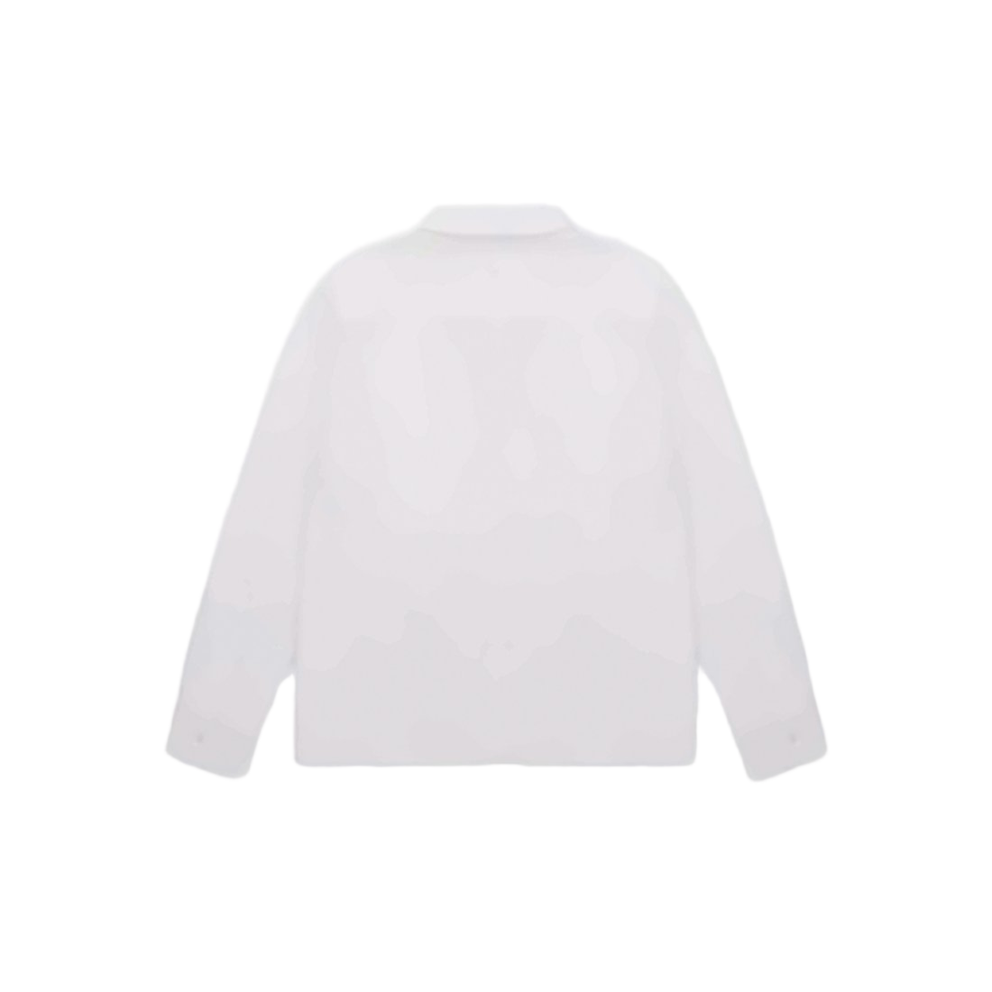 Long-Sleeve Minimalist Shirt with Pointed Collar