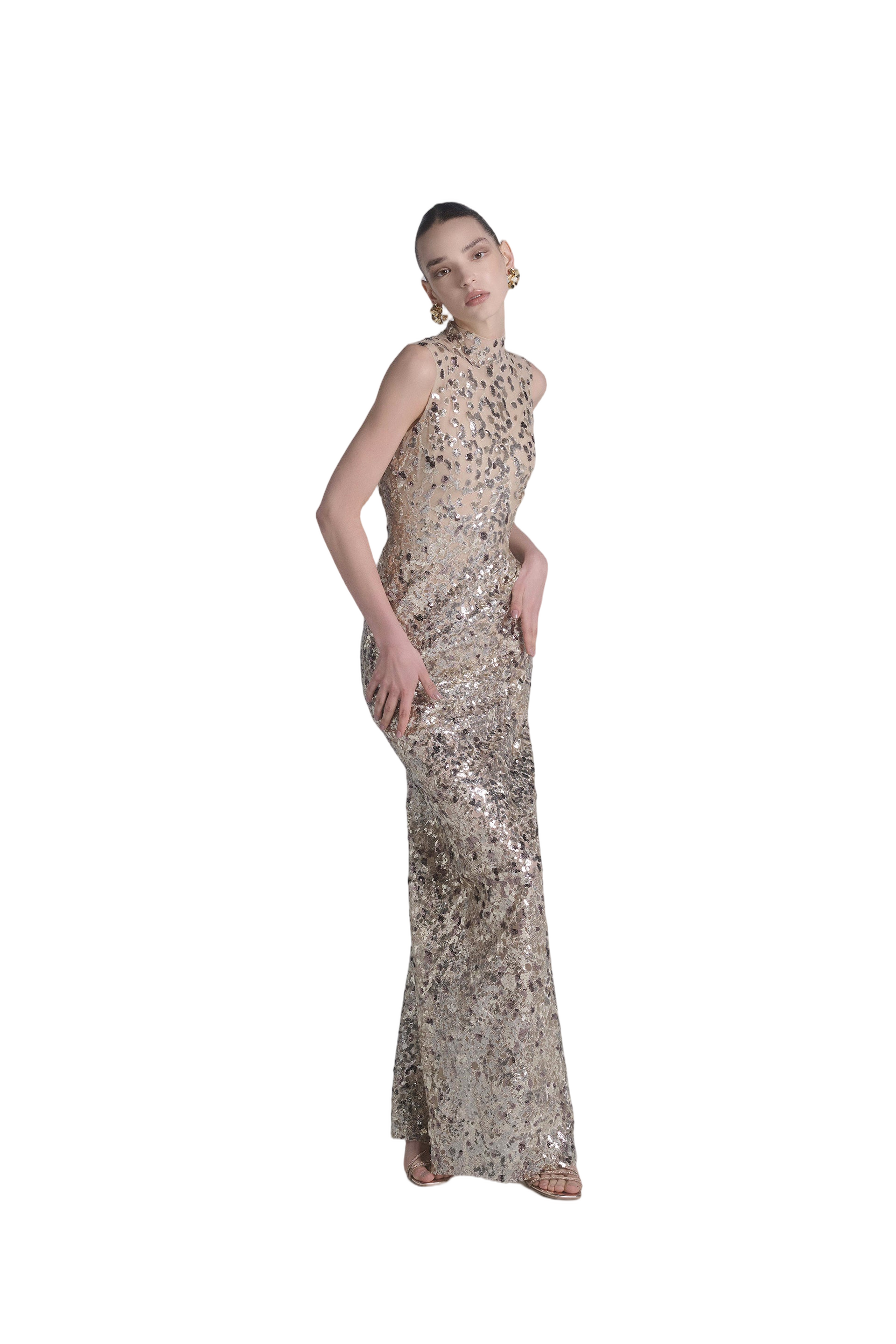 Sequin Embroidered Long Dress