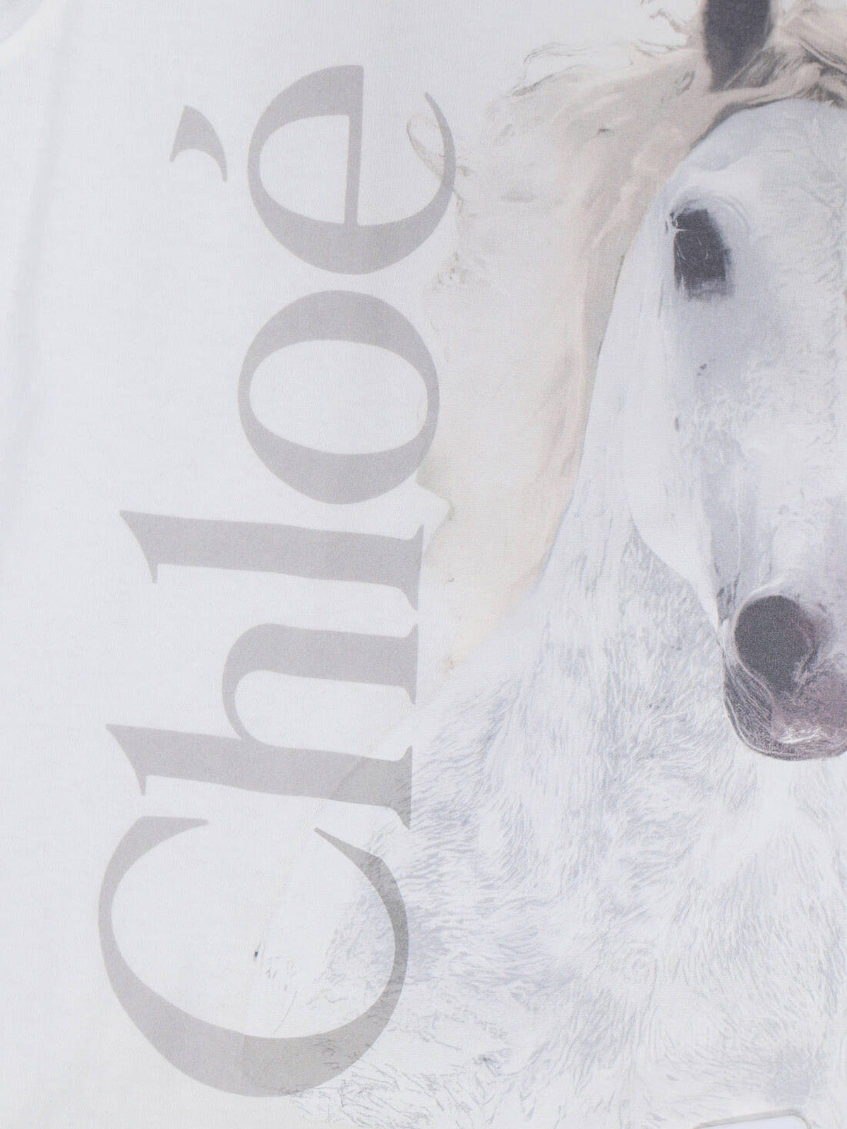 Timeless White T-Shirt with Clean Design